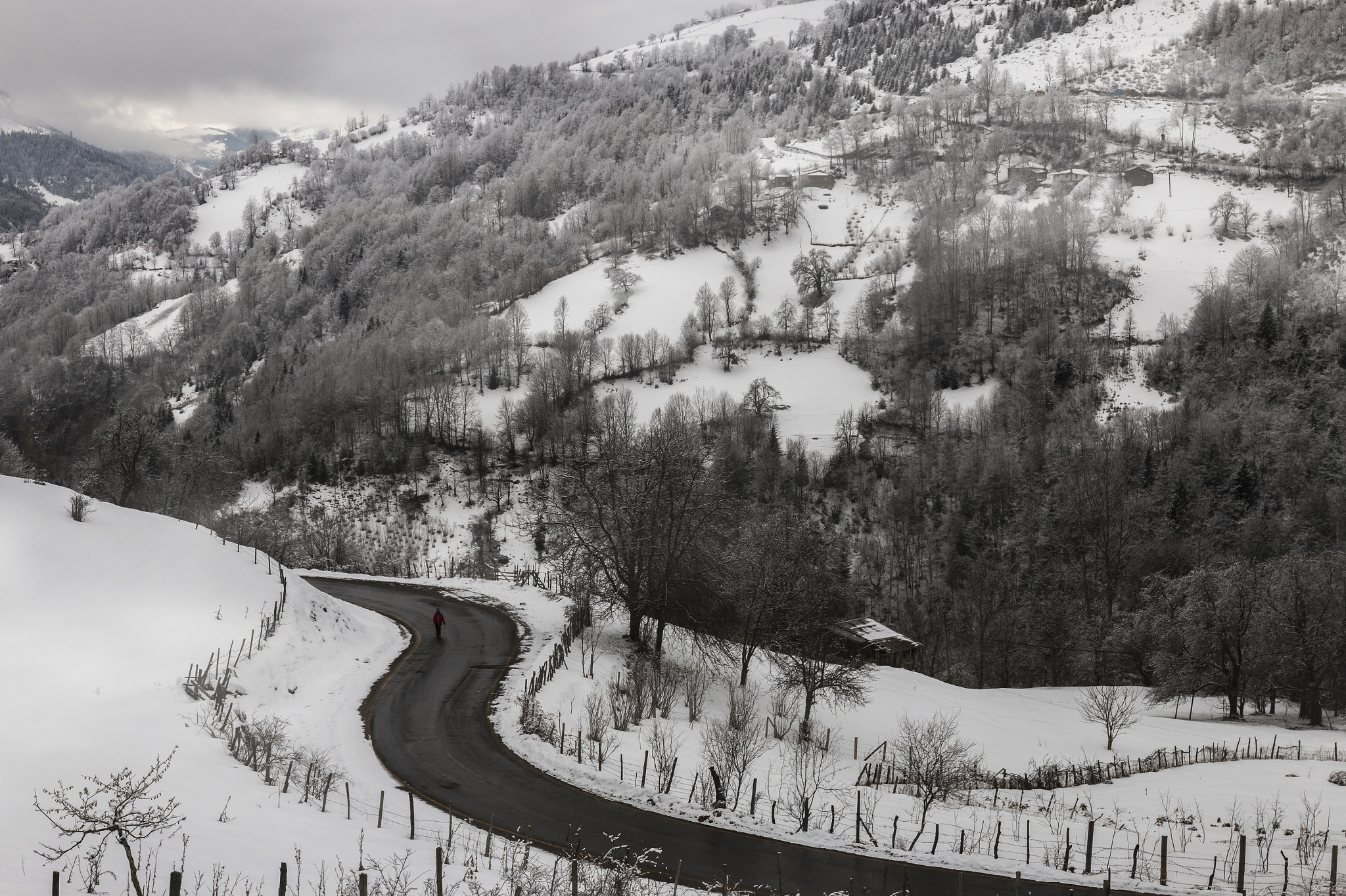 Sigma 18-35mm f/1.8 DC HSM sample photo. Road photography