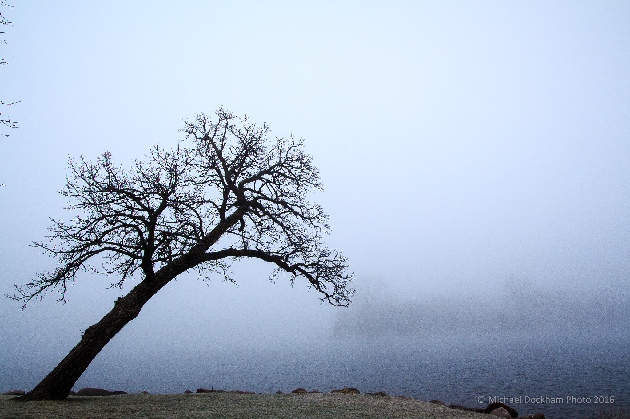 Canon EOS 700D (EOS Rebel T5i / EOS Kiss X7i) sample photo. Tree in contemplation photography