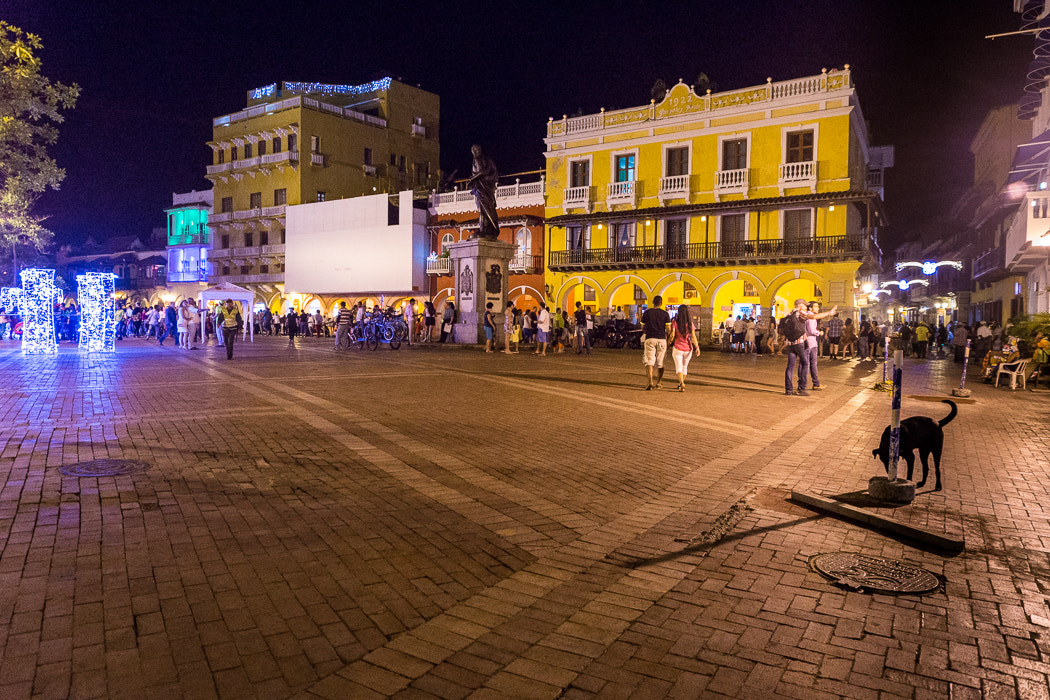 Sony SLT-A65 (SLT-A65V) sample photo. Plaza de los coches. photography