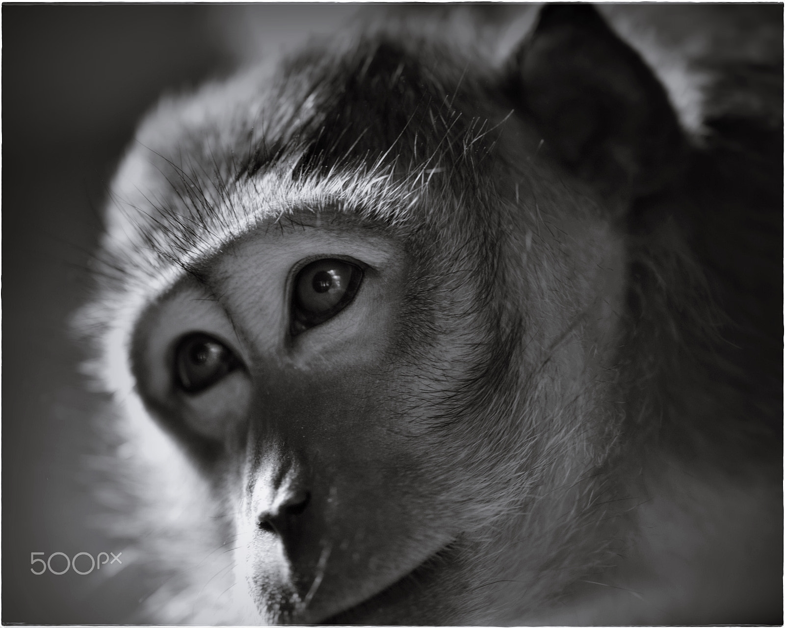 105mm F2.8 sample photo. What's going on there? photography