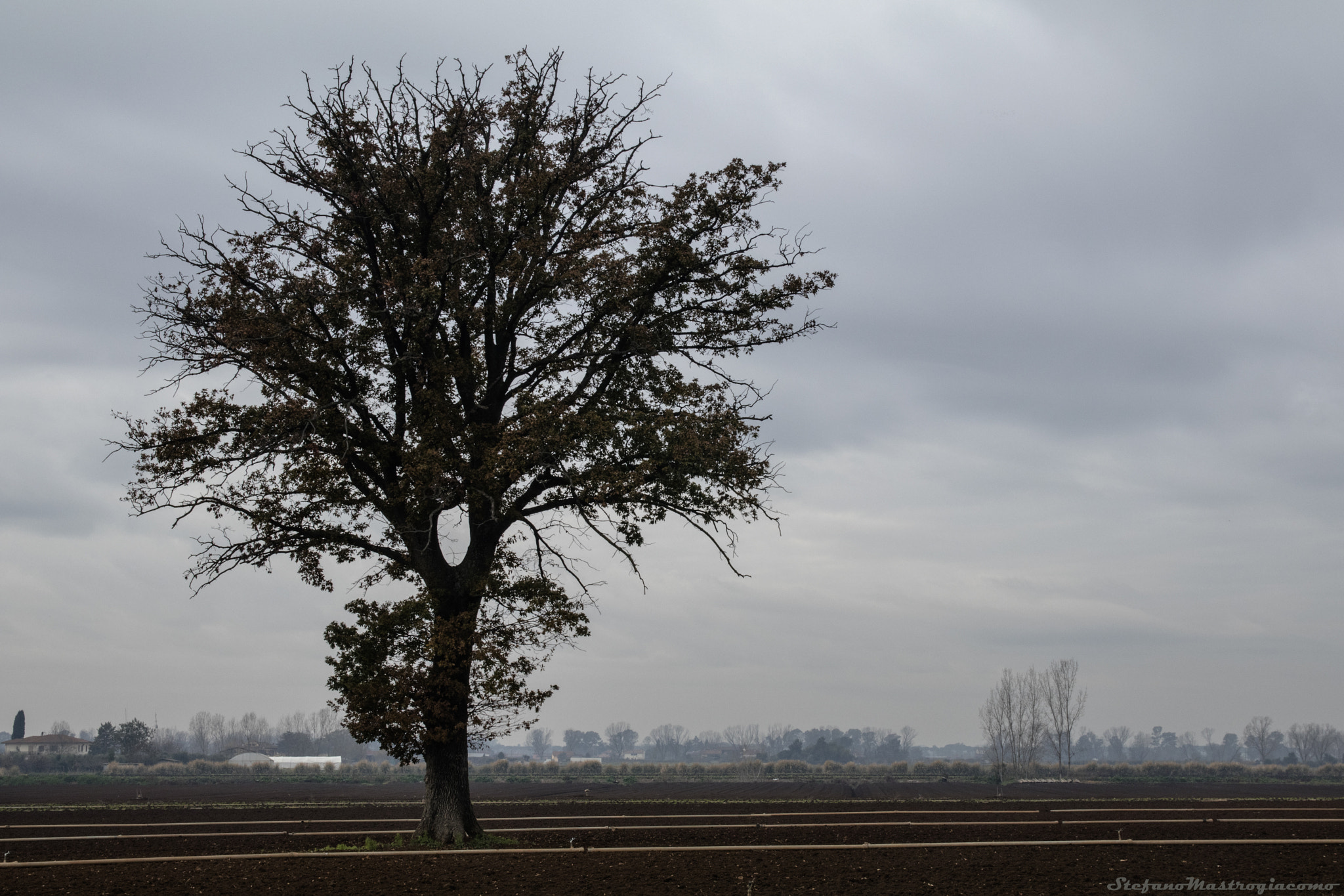 Sigma 17-70mm F2.8-4 DC Macro OS HSM sample photo. Terre pontine photography
