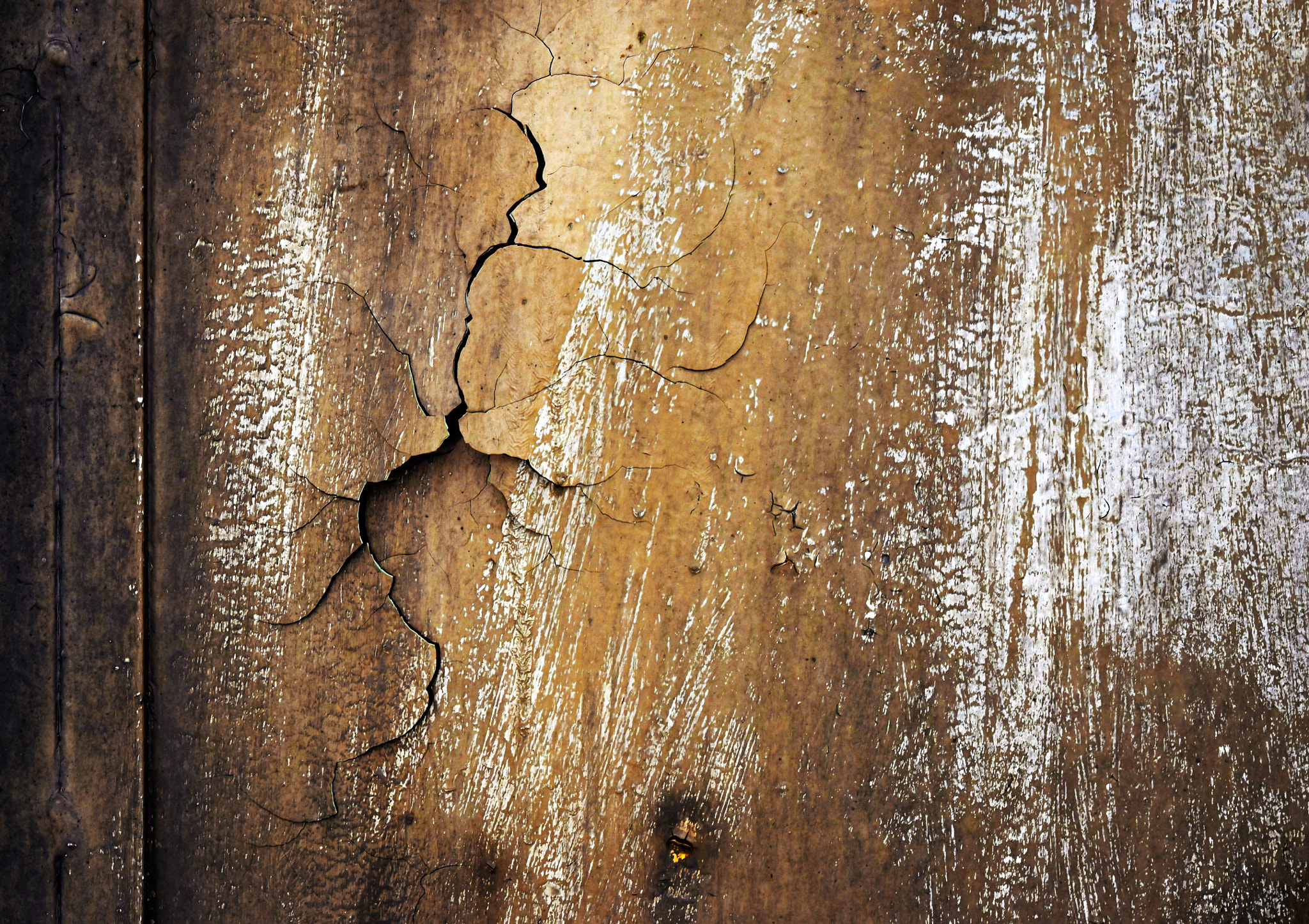 Nikon D5500 sample photo. Rift the old ocher coat photography