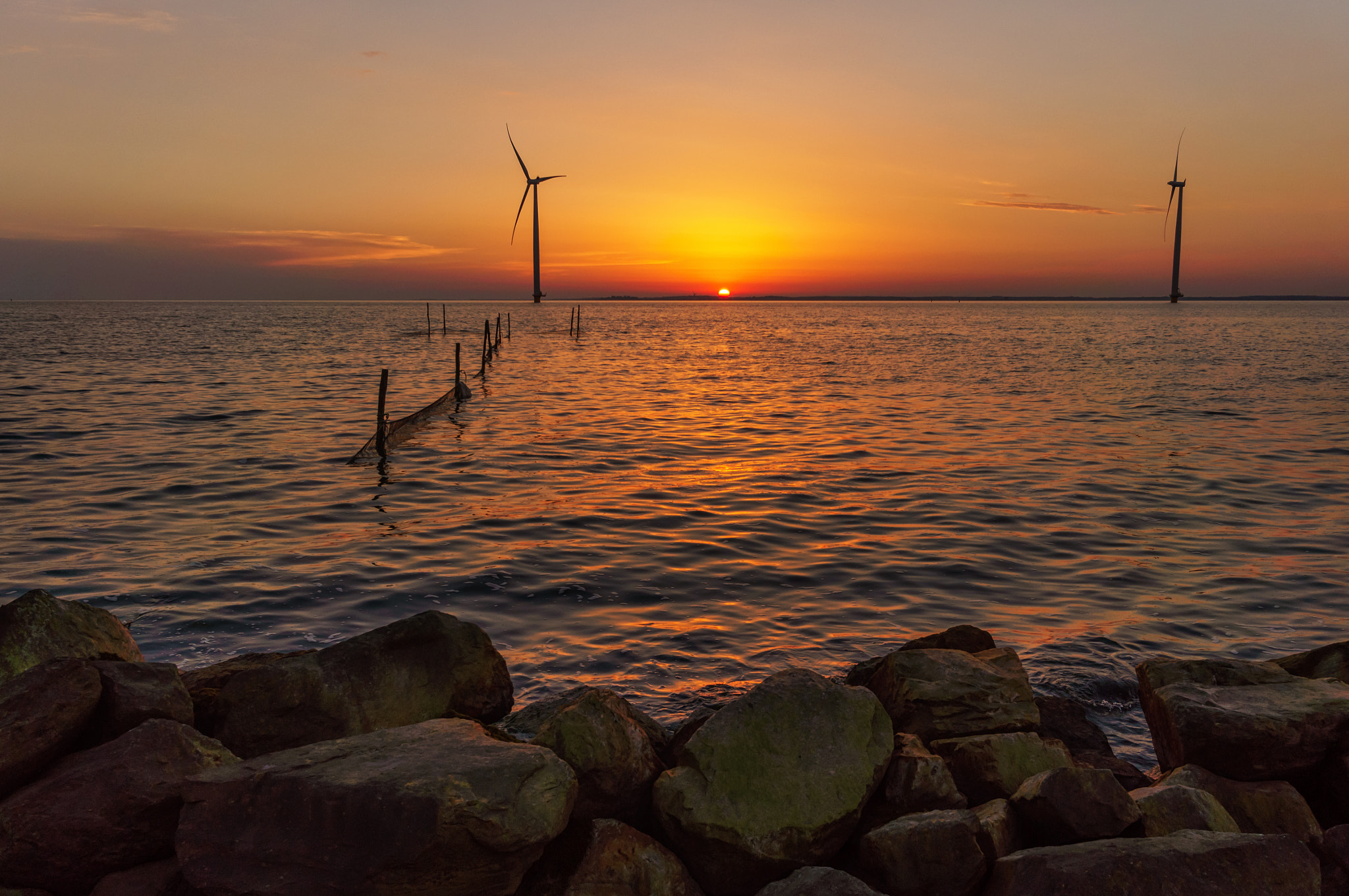 Sony Alpha NEX-5N + Sigma 19mm F2.8 EX DN sample photo. Waiting for summer photography