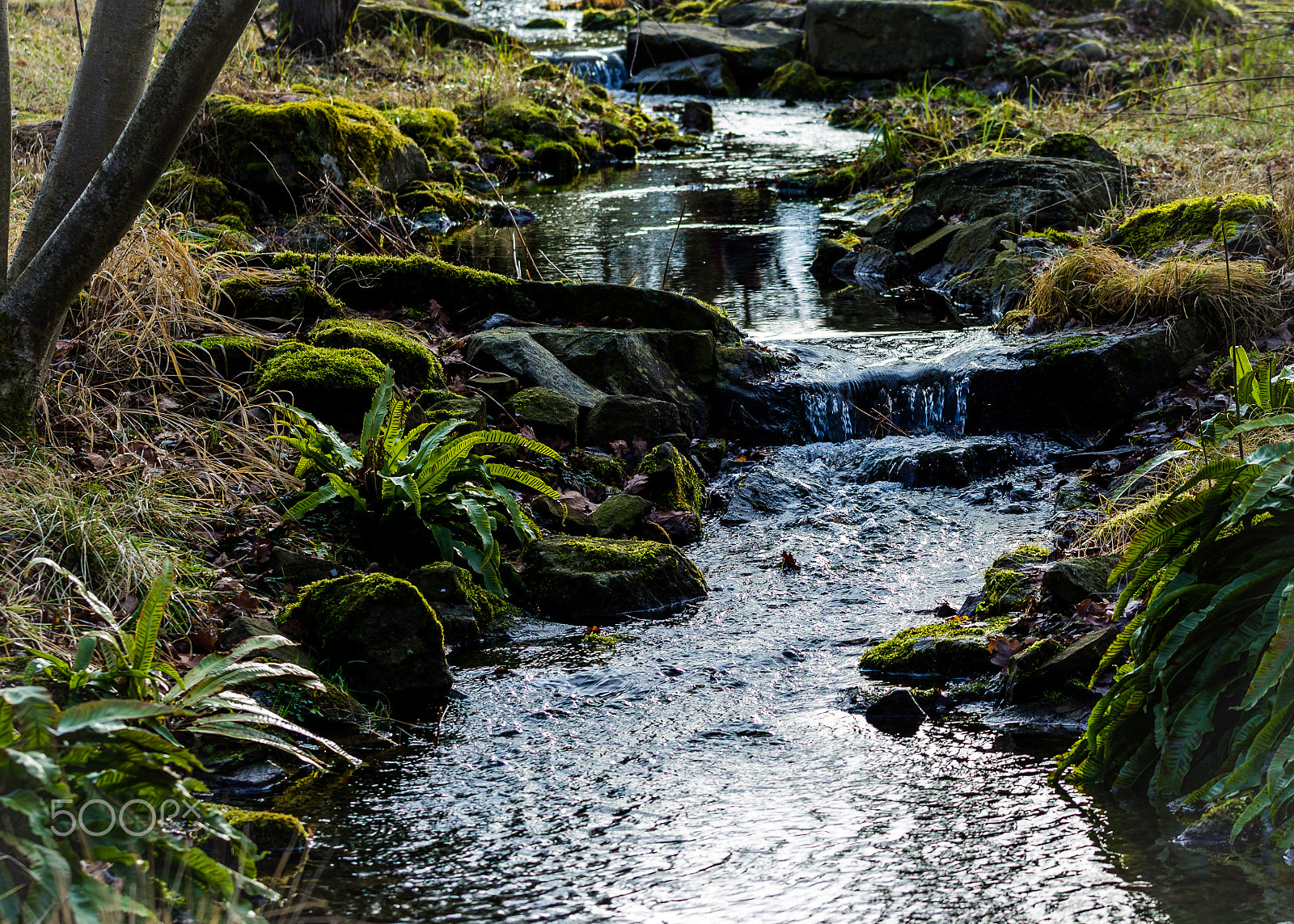 Canon EOS 1200D (EOS Rebel T5 / EOS Kiss X70 / EOS Hi) sample photo. Rivulet with reflektion photography