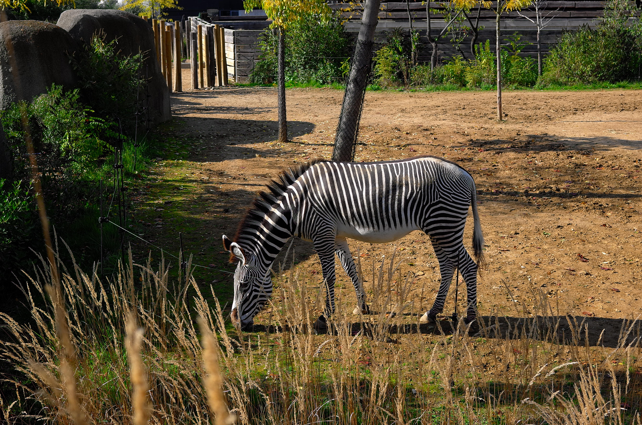 Leica X Vario sample photo. Parc zoologique de paris photography