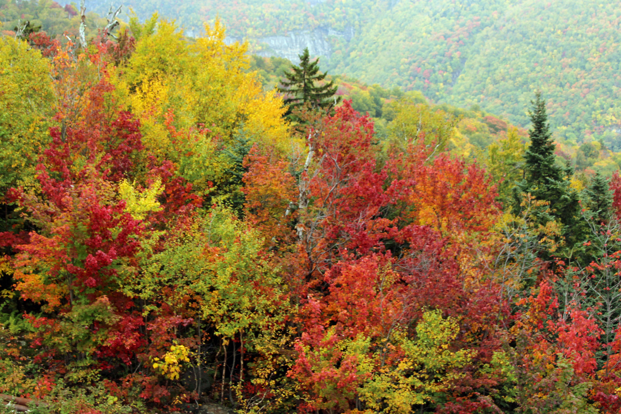 Canon EOS 600D (Rebel EOS T3i / EOS Kiss X5) sample photo. Fall in new england 2016 photography