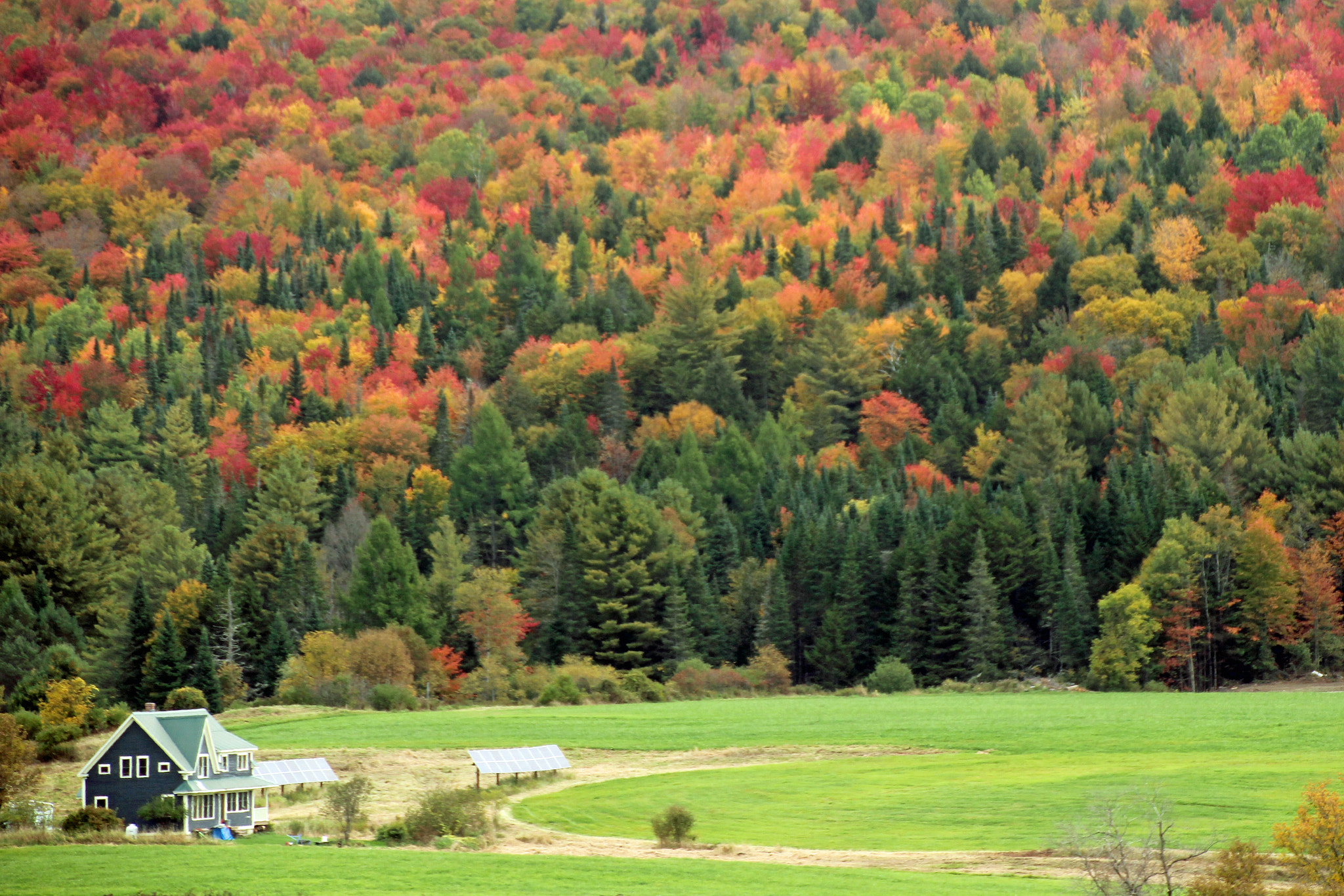 Canon EOS 600D (Rebel EOS T3i / EOS Kiss X5) sample photo. Fall in new england 2016 photography