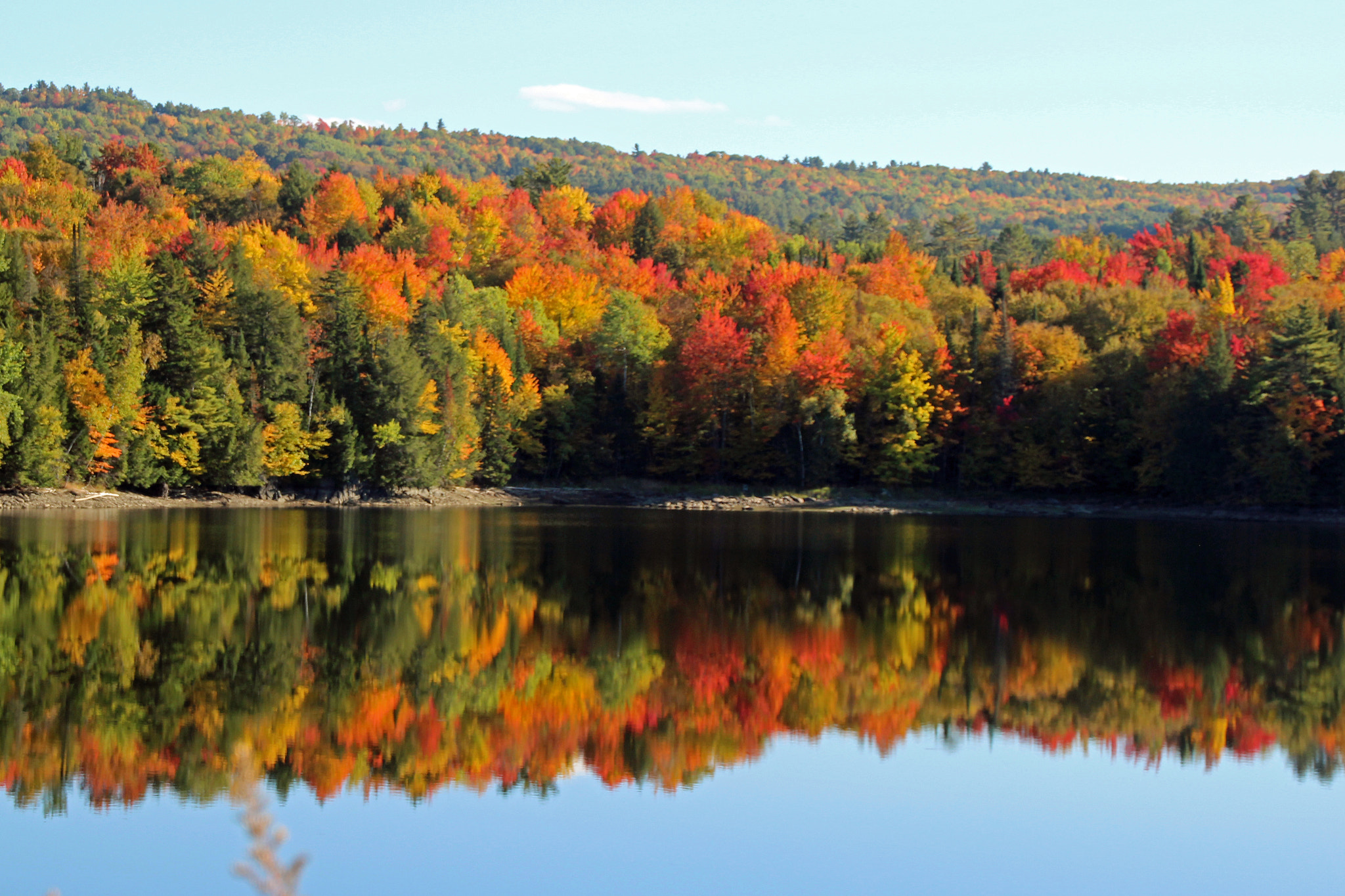 Canon EOS 600D (Rebel EOS T3i / EOS Kiss X5) sample photo. Fall in new england 2016 photography