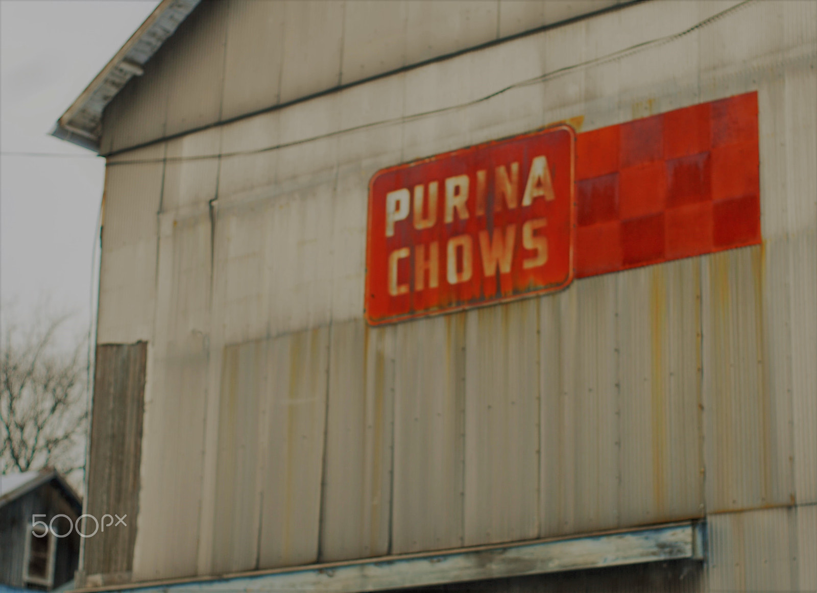 Nikon D200 + Manual Lens No CPU sample photo. Purina chows photography