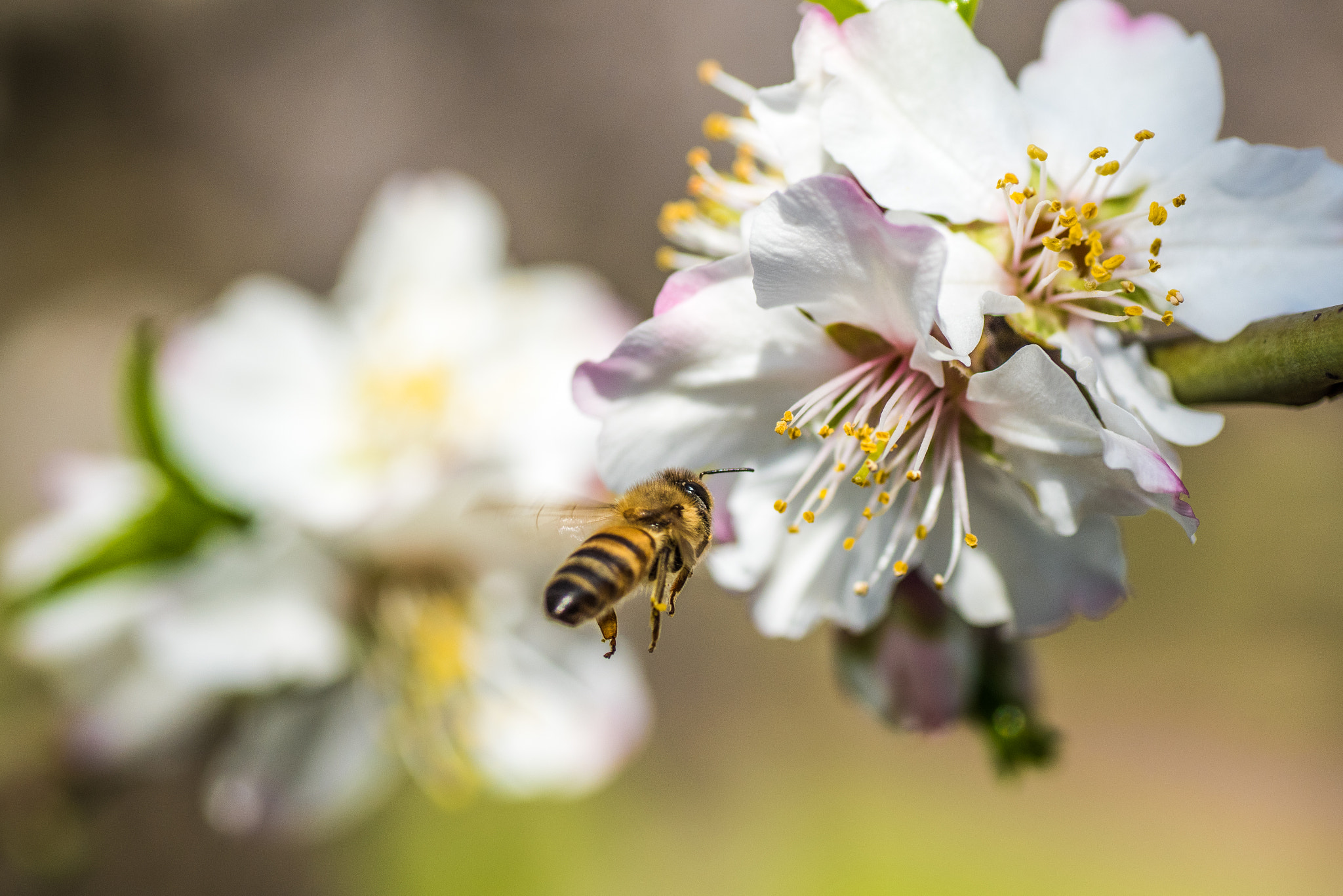 Nikon D810 sample photo. Focus on target... photography
