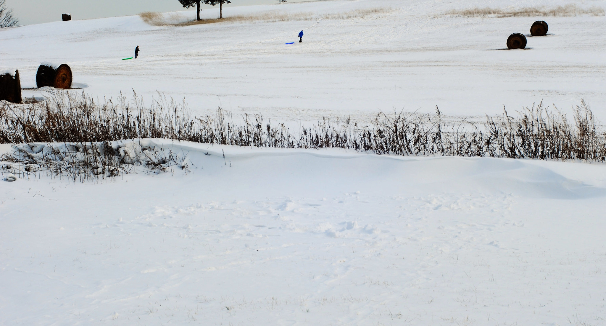 Manual Lens No CPU sample photo. () photography