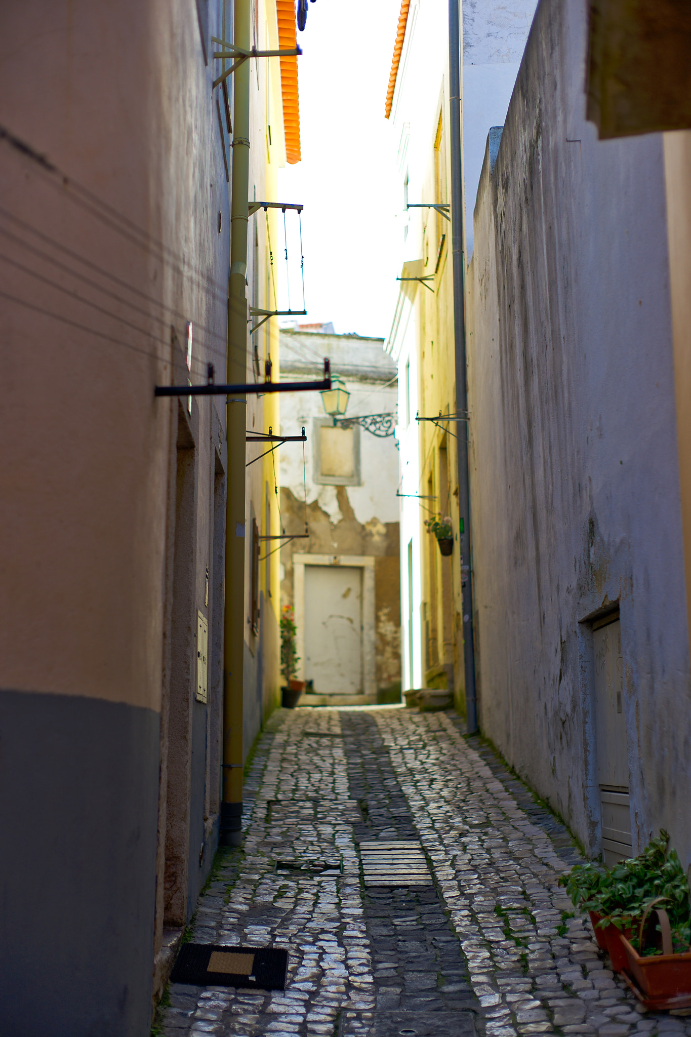Leica Noctilux-M 50mm F0.95 ASPH sample photo. Lisbon street photography