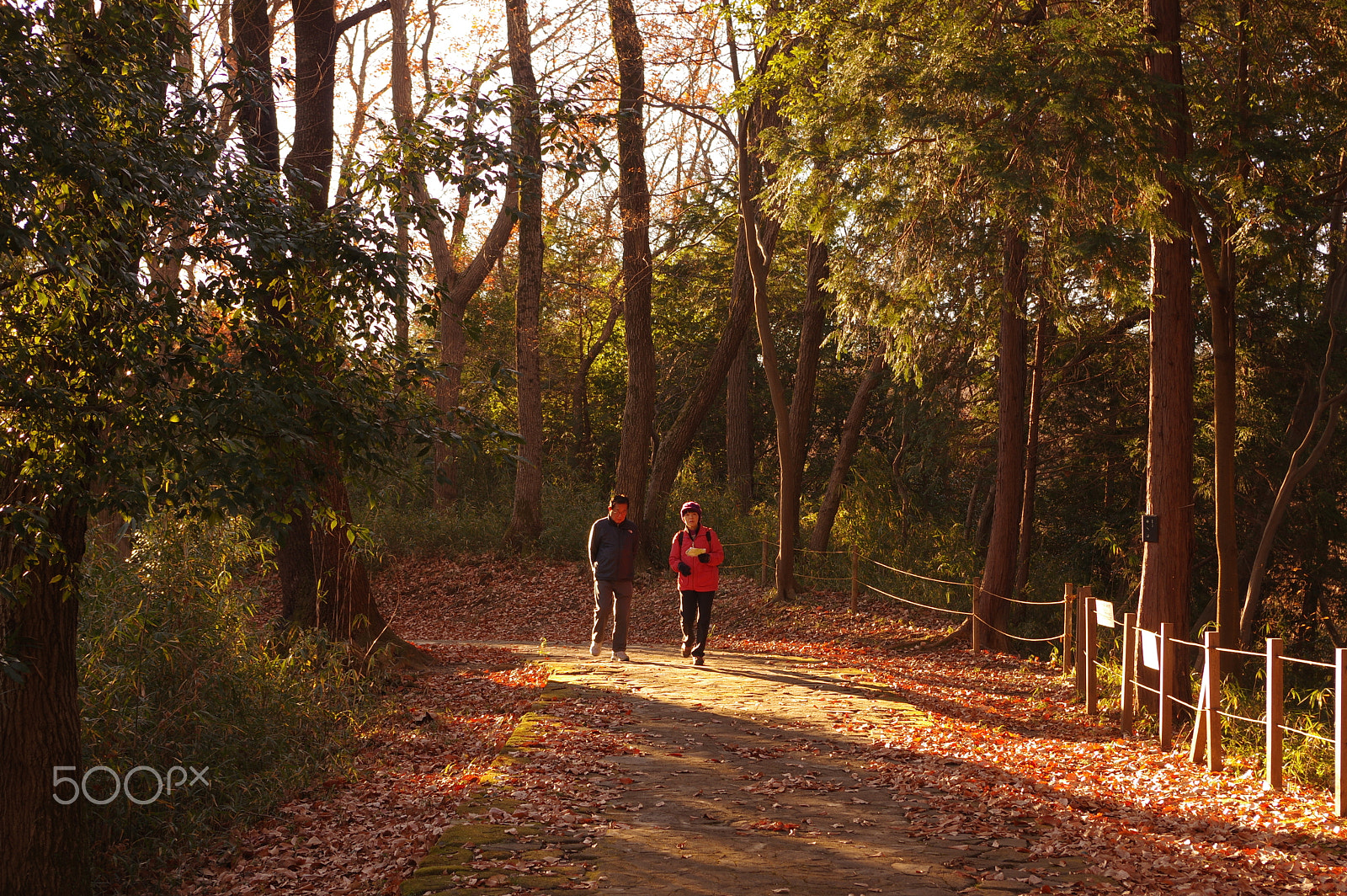 smc PENTAX-DA L 18-55mm F3.5-5.6 sample photo. A couple in the morning light photography