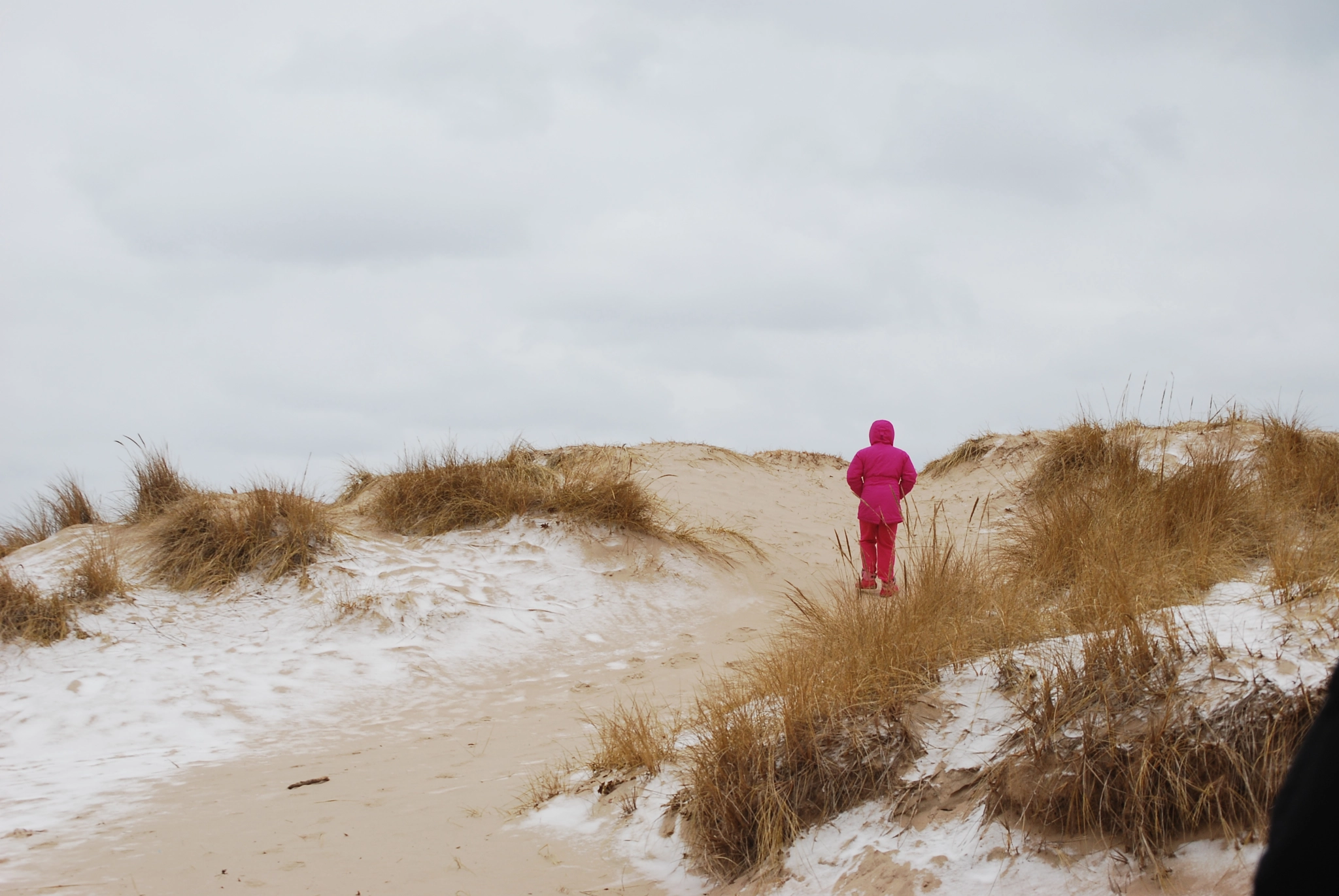 Nikon D80 sample photo. Sand & snow photography
