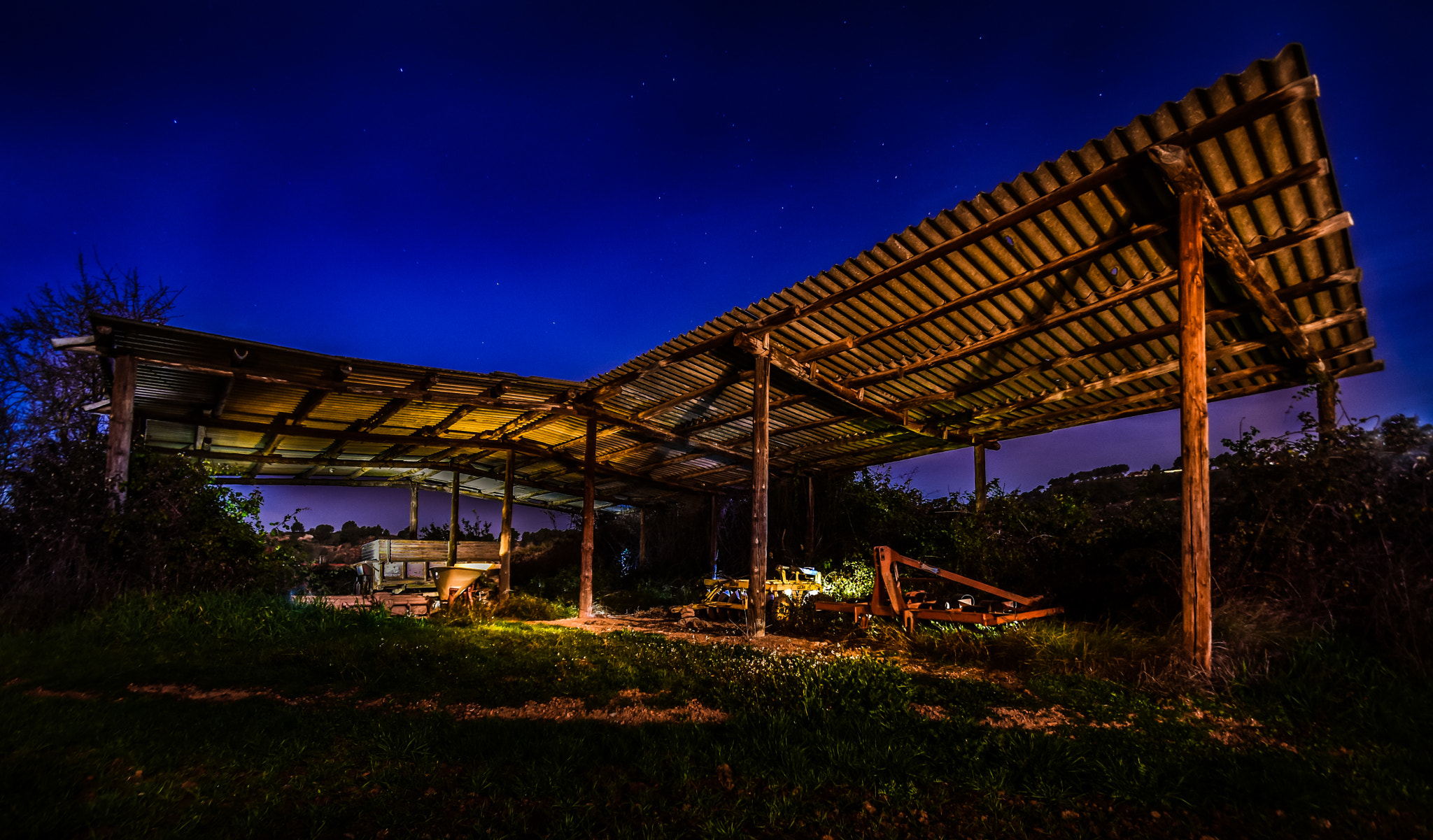 Nikon D7200 sample photo. Cobert... photography