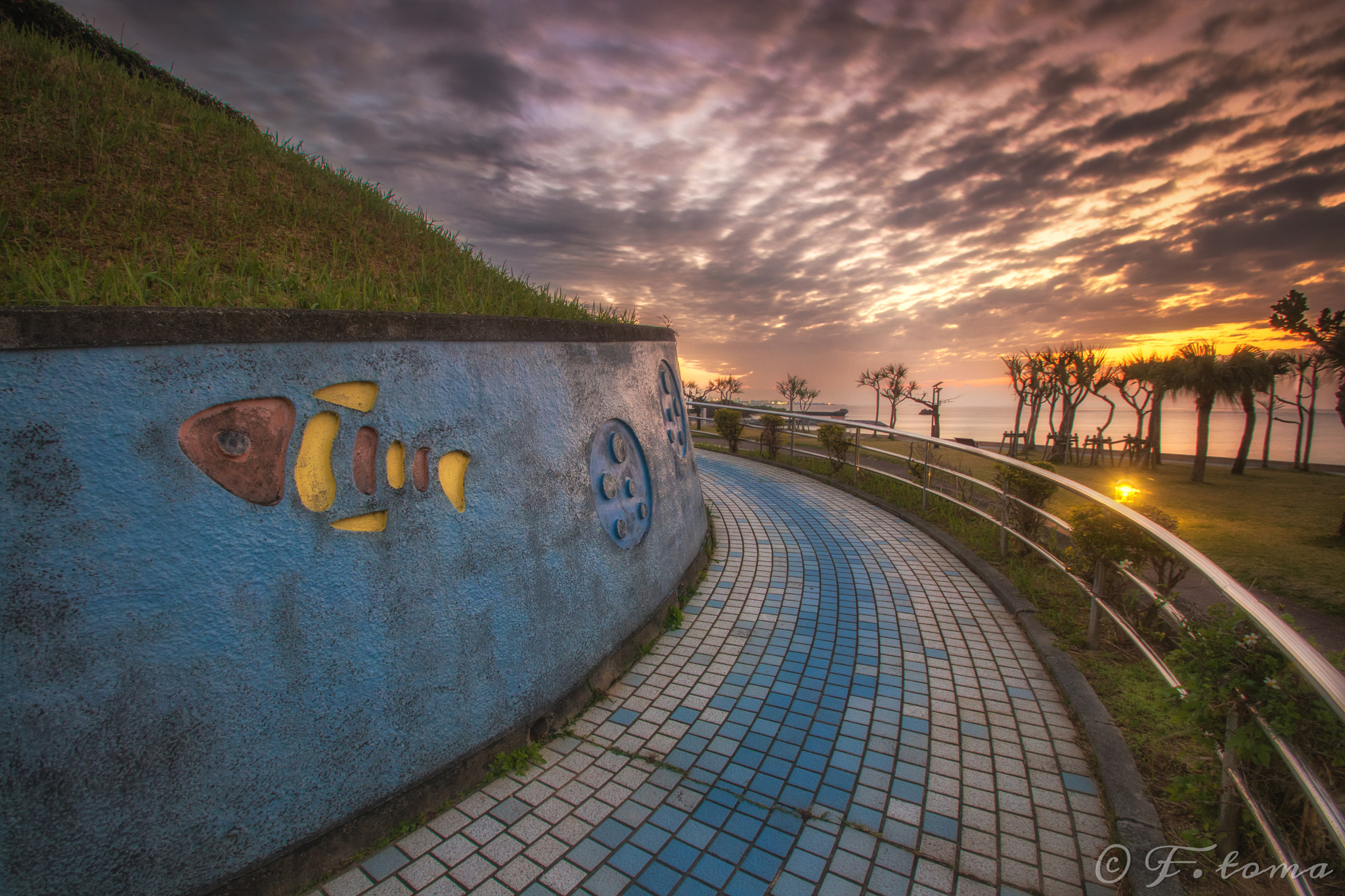 Sigma 10-20mm F3.5 EX DC HSM sample photo. Time to go home photography