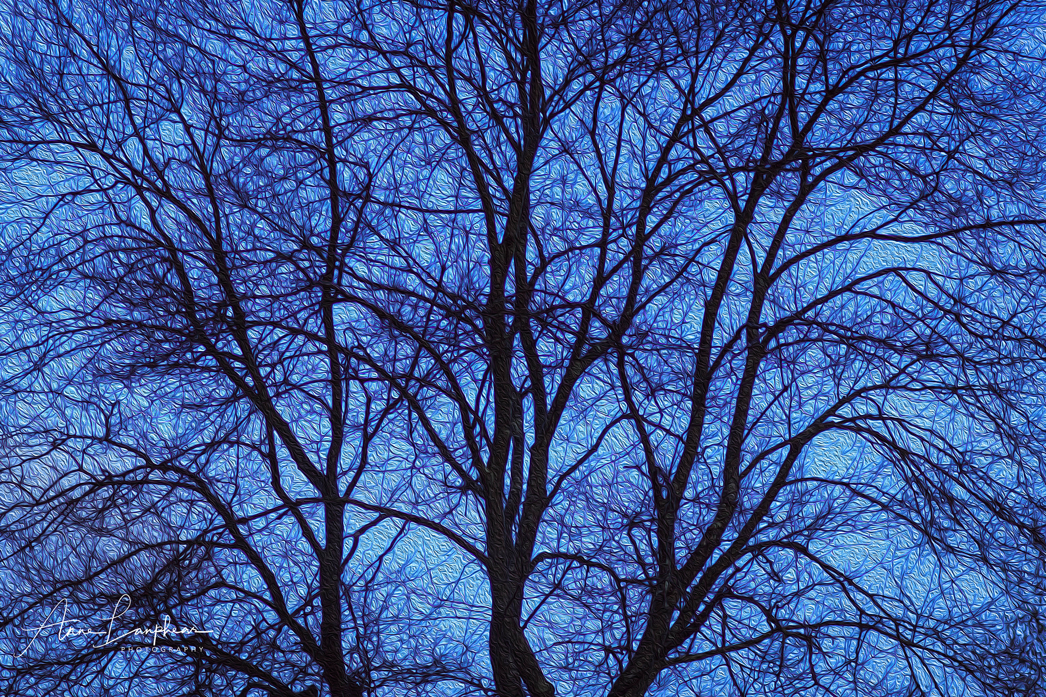 Canon EF 85mm F1.8 USM sample photo. Oil painting filter photography