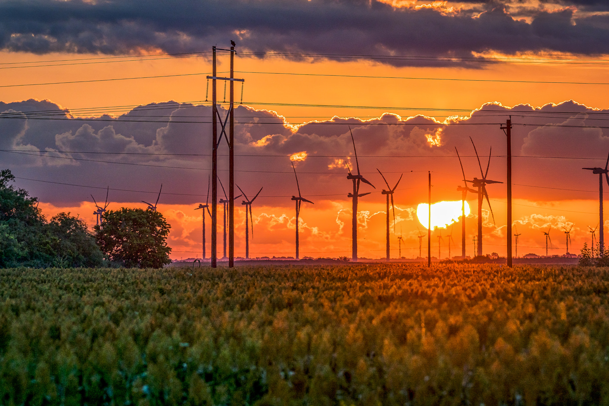 Sony 70-400mm F4-5.6 G SSM II sample photo. South texas sunrise photography