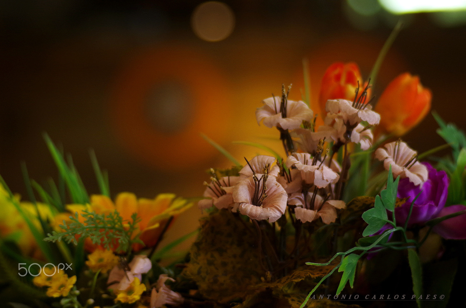 smc PENTAX-F 80-200mm F4.7-5.6 sample photo. The plastic flower photography