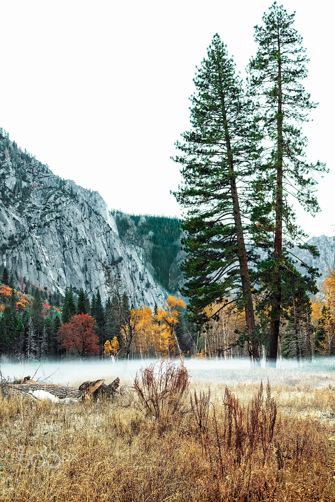 Sigma 30mm F1.4 EX DC HSM sample photo. Rugged yosemite valley ranges photography