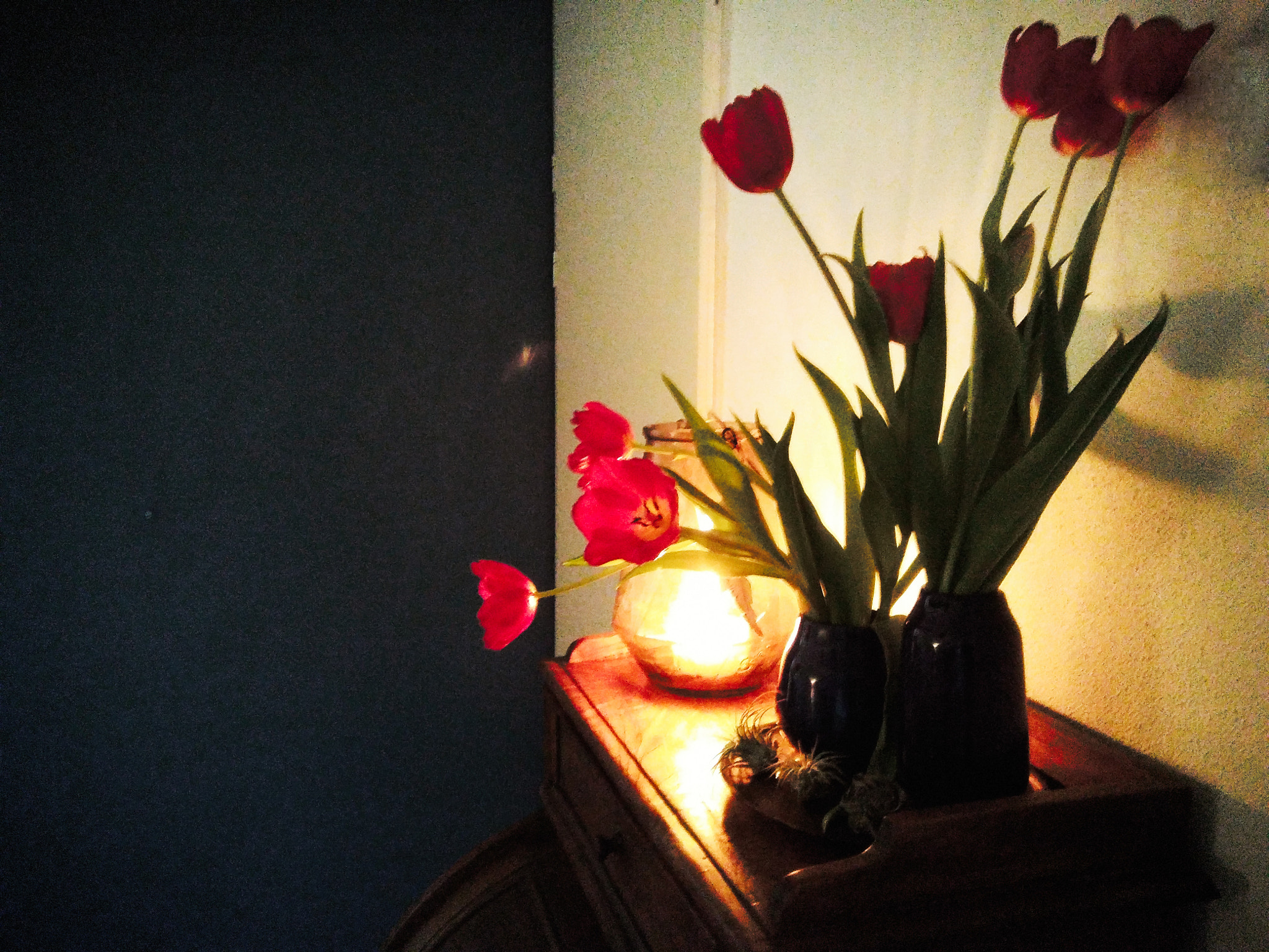 LG K10 sample photo. Flowers photography