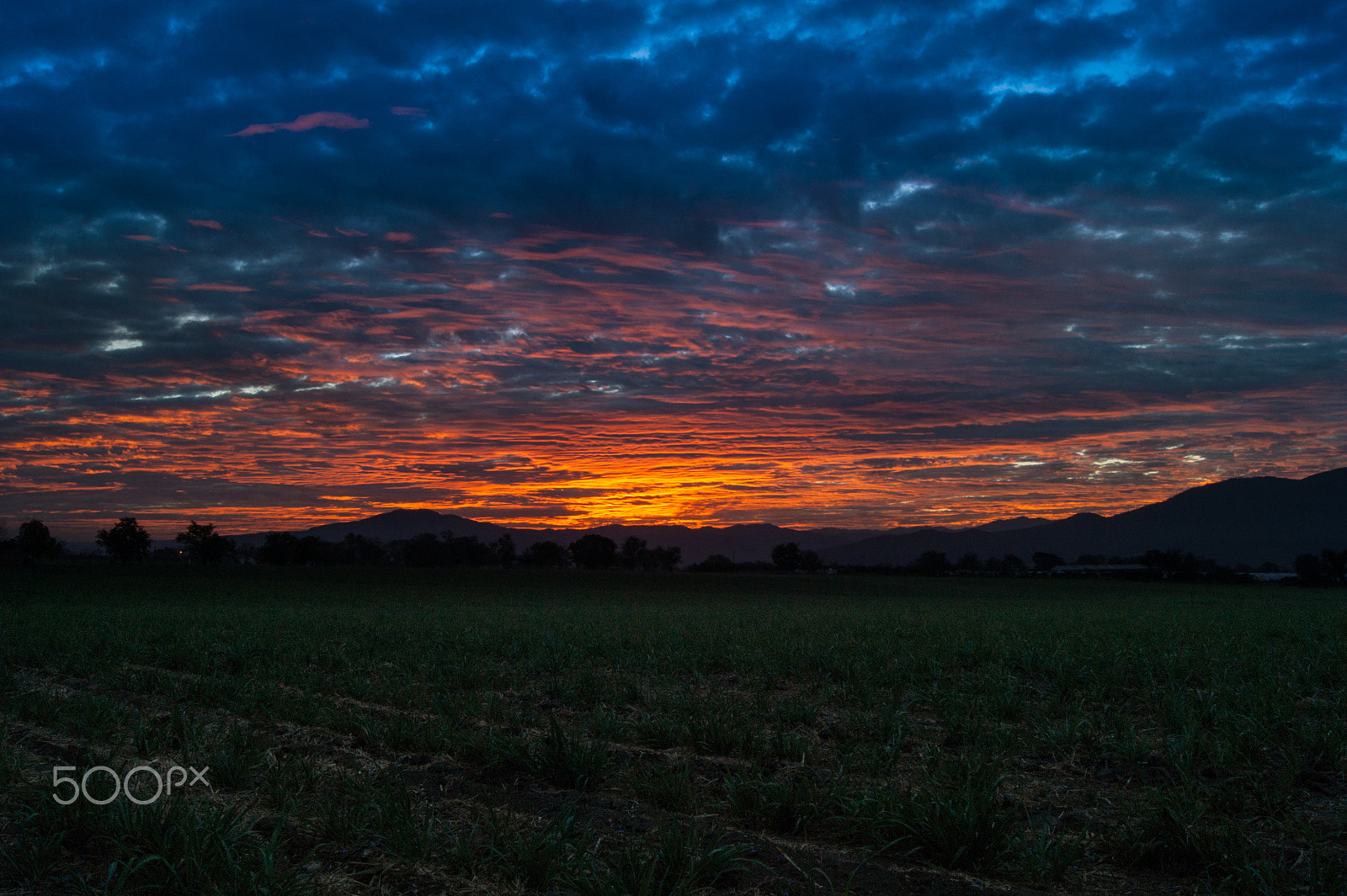 Sony Alpha DSLR-A380 + Sony DT 18-55mm F3.5-5.6 SAM sample photo. Coming morning photography