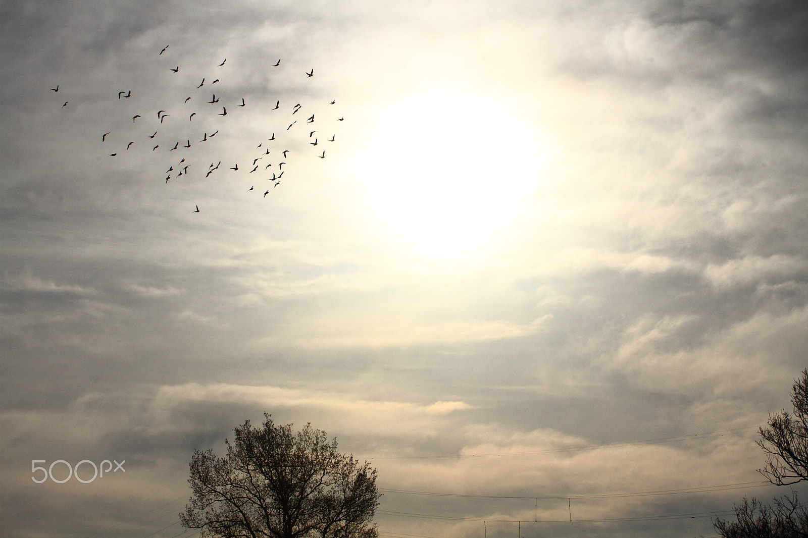Canon EOS 7D + Canon 70-300mm sample photo. BenedictionⅢ photography