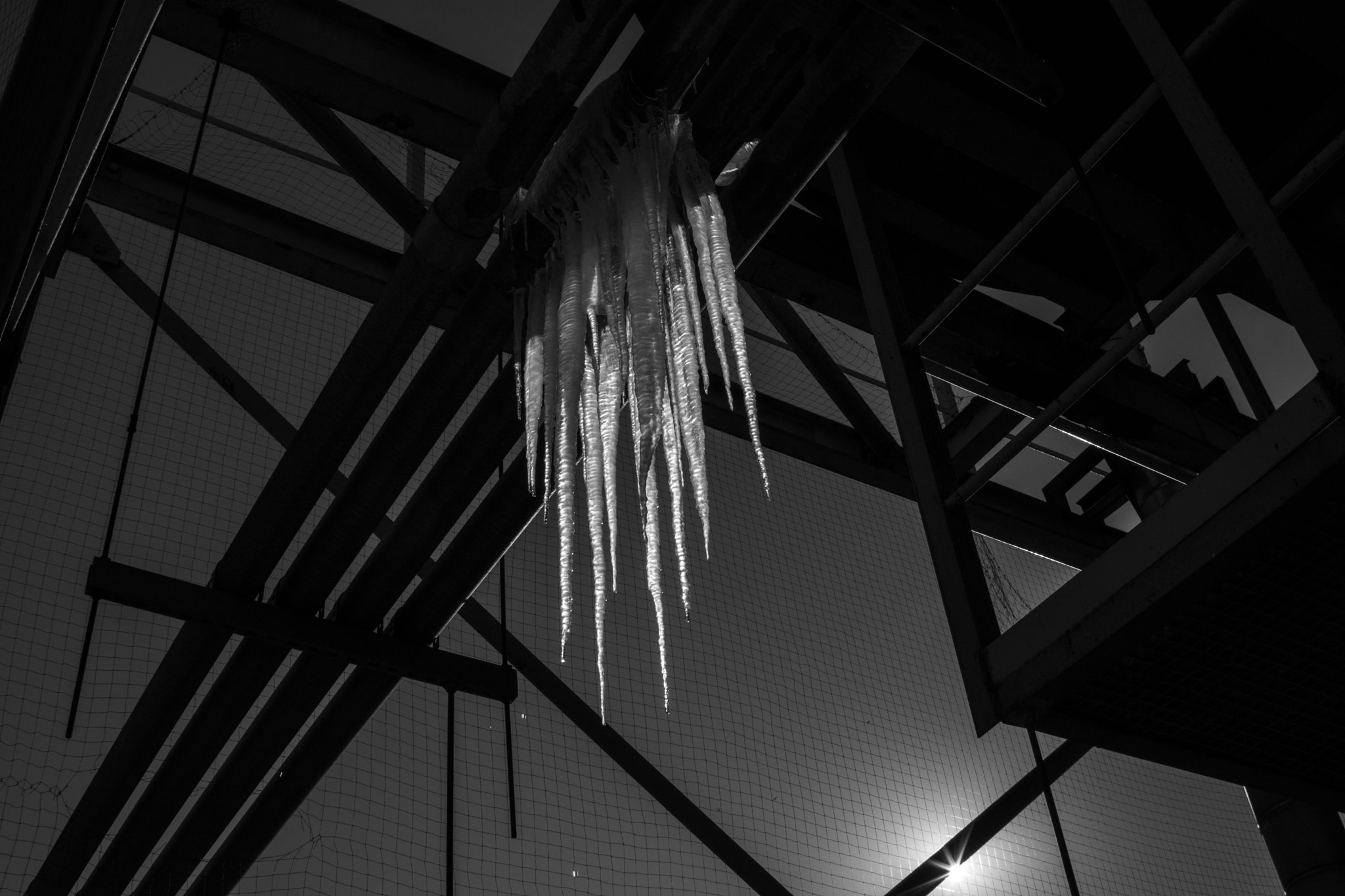 Canon EOS 750D (EOS Rebel T6i / EOS Kiss X8i) sample photo. Icey photography
