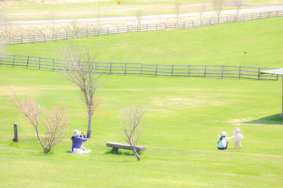 Nikon D40 sample photo. Shibecya hokkaido tawadaira park photography