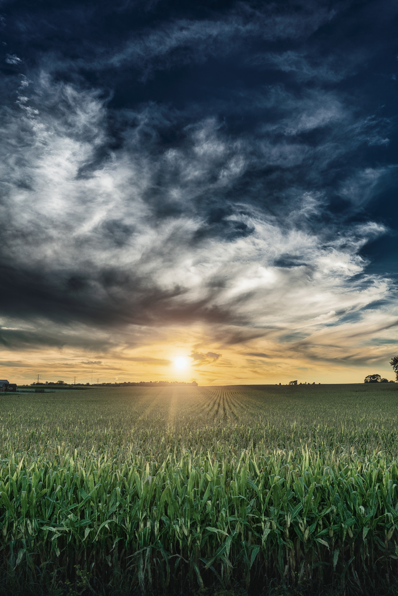 Sony FE 28mm F2 sample photo. Cornfields photography