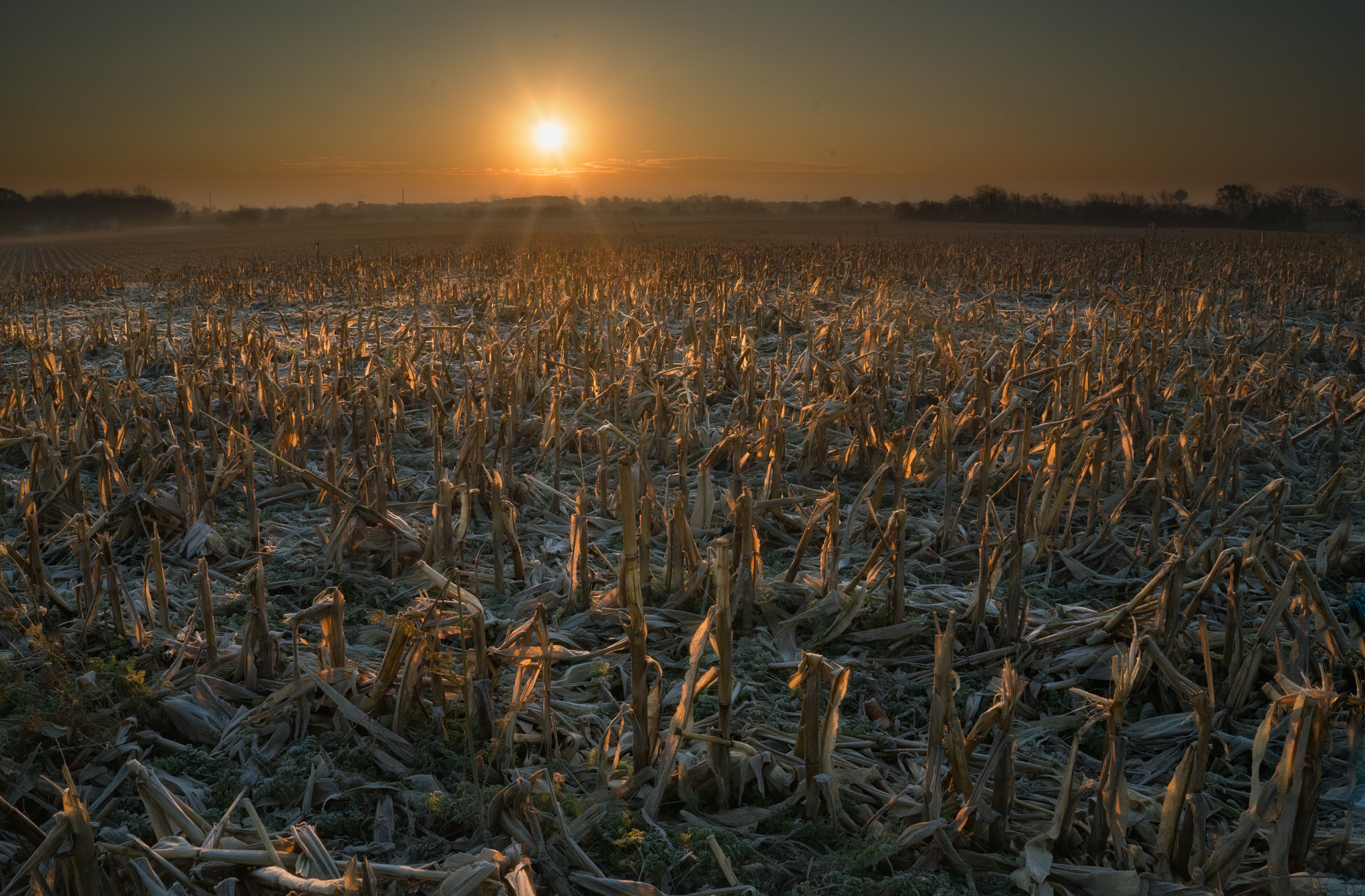Sony FE 28mm F2 sample photo. Ominous morning photography