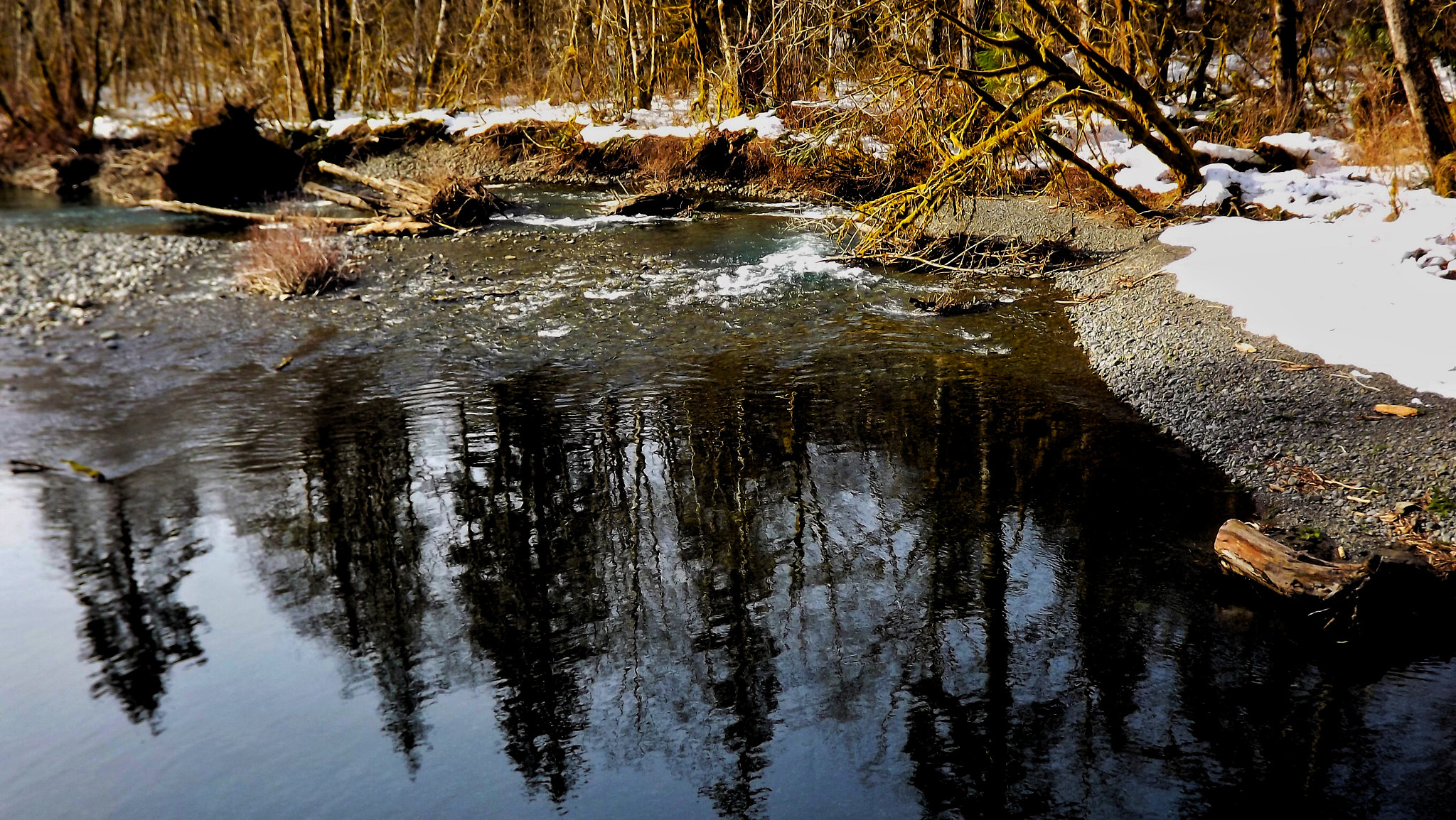 FujiFilm FinePix S3200 (FinePix S3250) sample photo. Reflections at wynoochee, olympic national forest, washington. photography