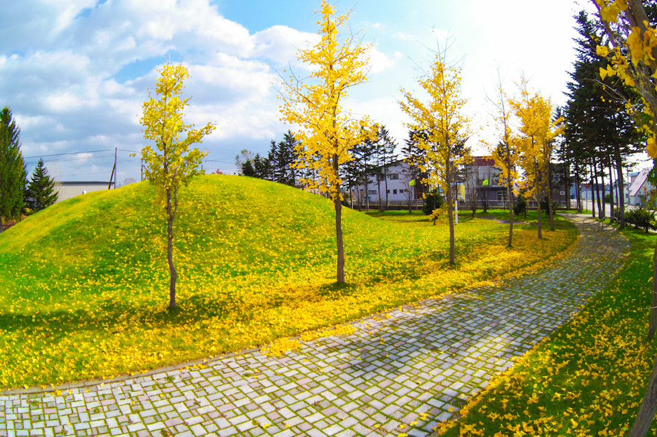 Pentax 03 Fish-Eye sample photo. Bifuka hokkaido station park photography