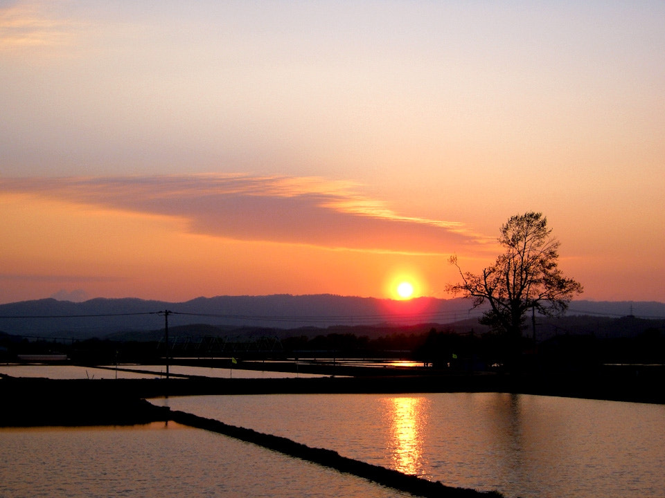 Canon PowerShot A495 sample photo. Nayoro hokkaido sunset orange photography