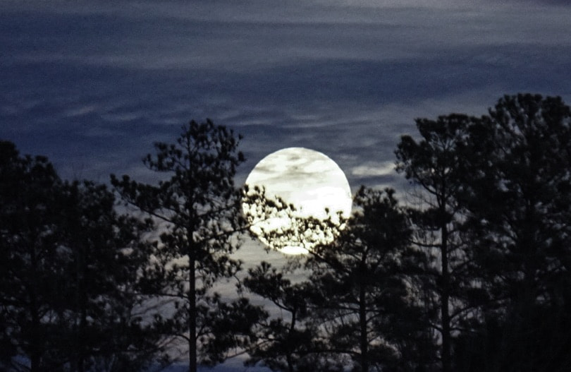 Sony a6300 + Sony E 55-210mm F4.5-6.3 OSS sample photo. Fly me to the moon photography