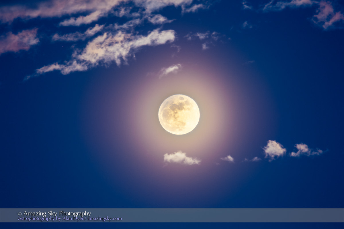 Canon EF 200mm F2.8L II USM sample photo. The eclipsed snow moon photography