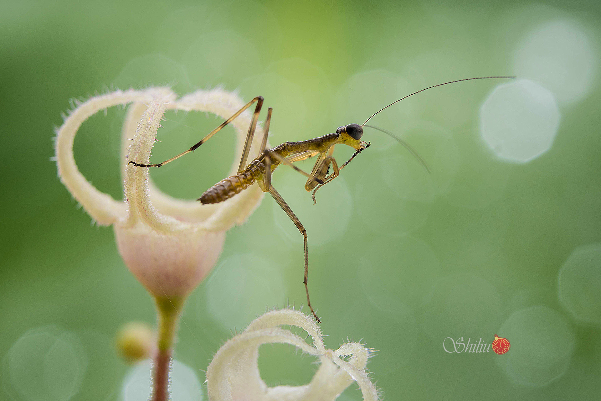 Nikon D810 + Nikon PC-E Nikkor 45mm F2.8D ED Tilt-Shift sample photo