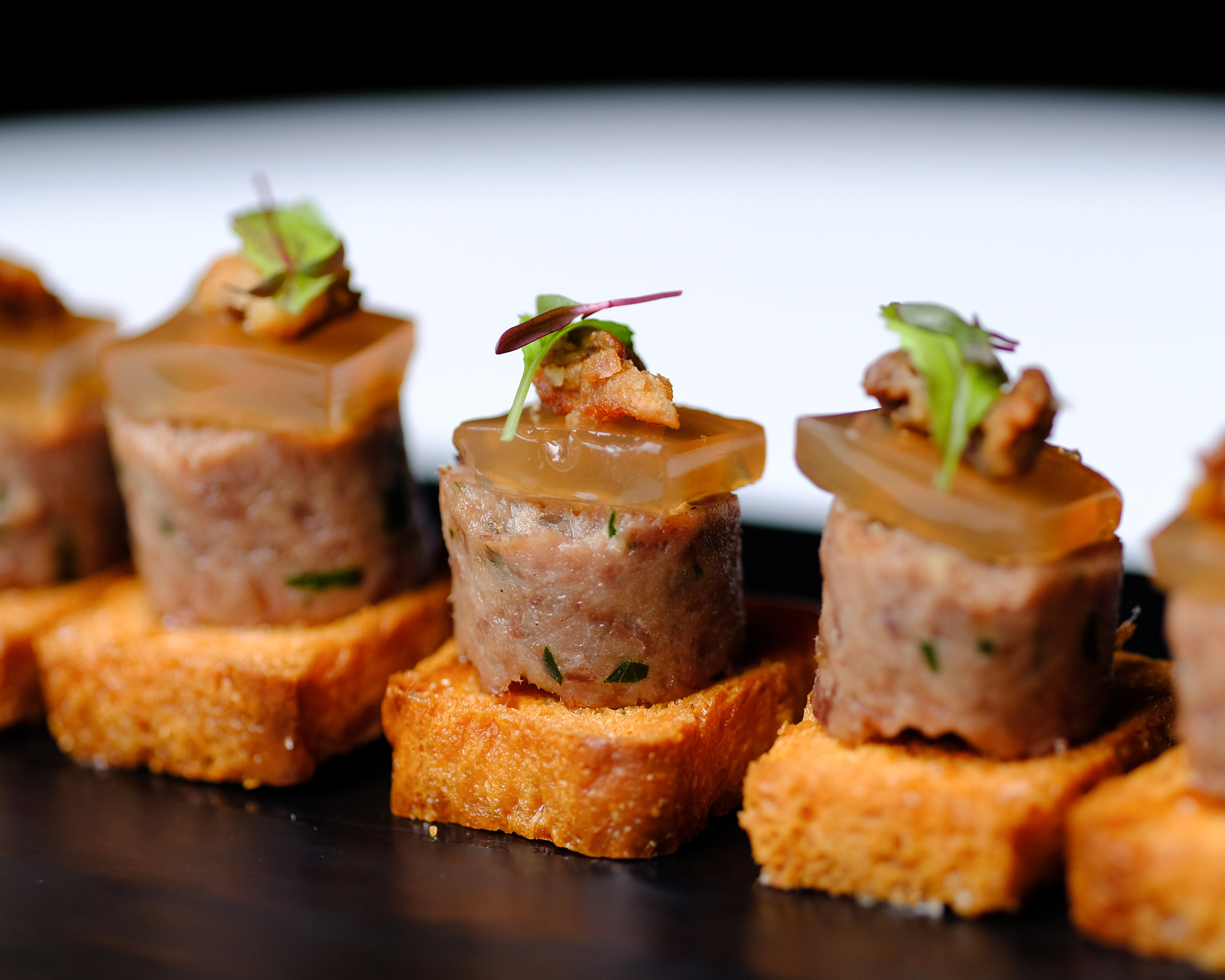 Fujifilm X-Pro2 + Fujifilm XF 90mm F2 R LM WR sample photo. Quebec duck rillette photography