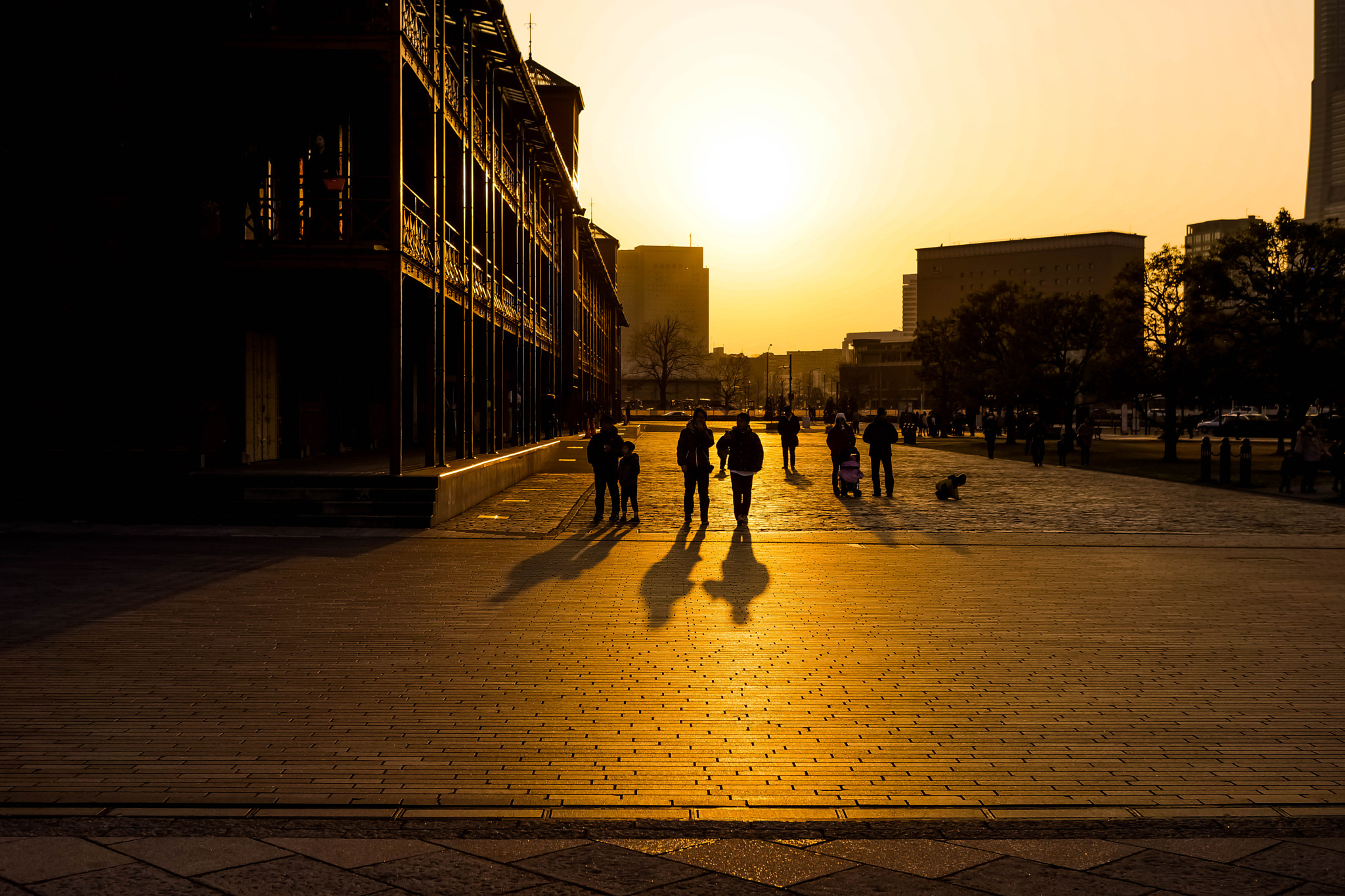 Sony Alpha NEX-7 sample photo. Sunset　yokohama photography