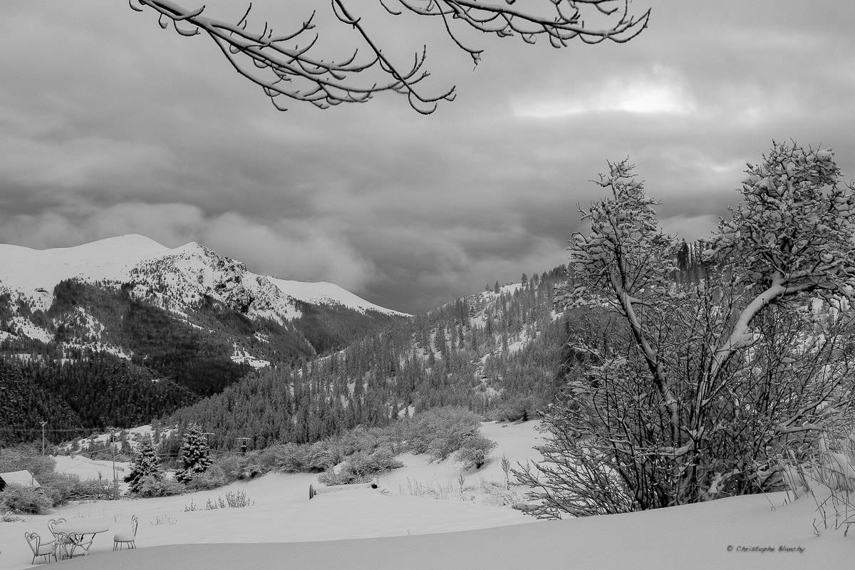 Canon EF 28-80mm f/2.8-4L sample photo. My paradise... photography