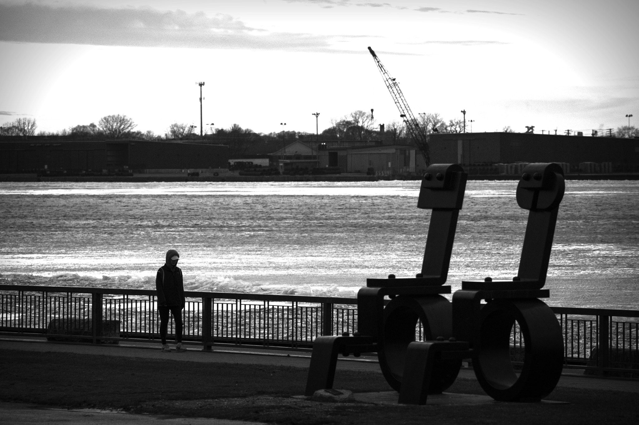Nikon D500 sample photo. Wandering. windsor, on. photography