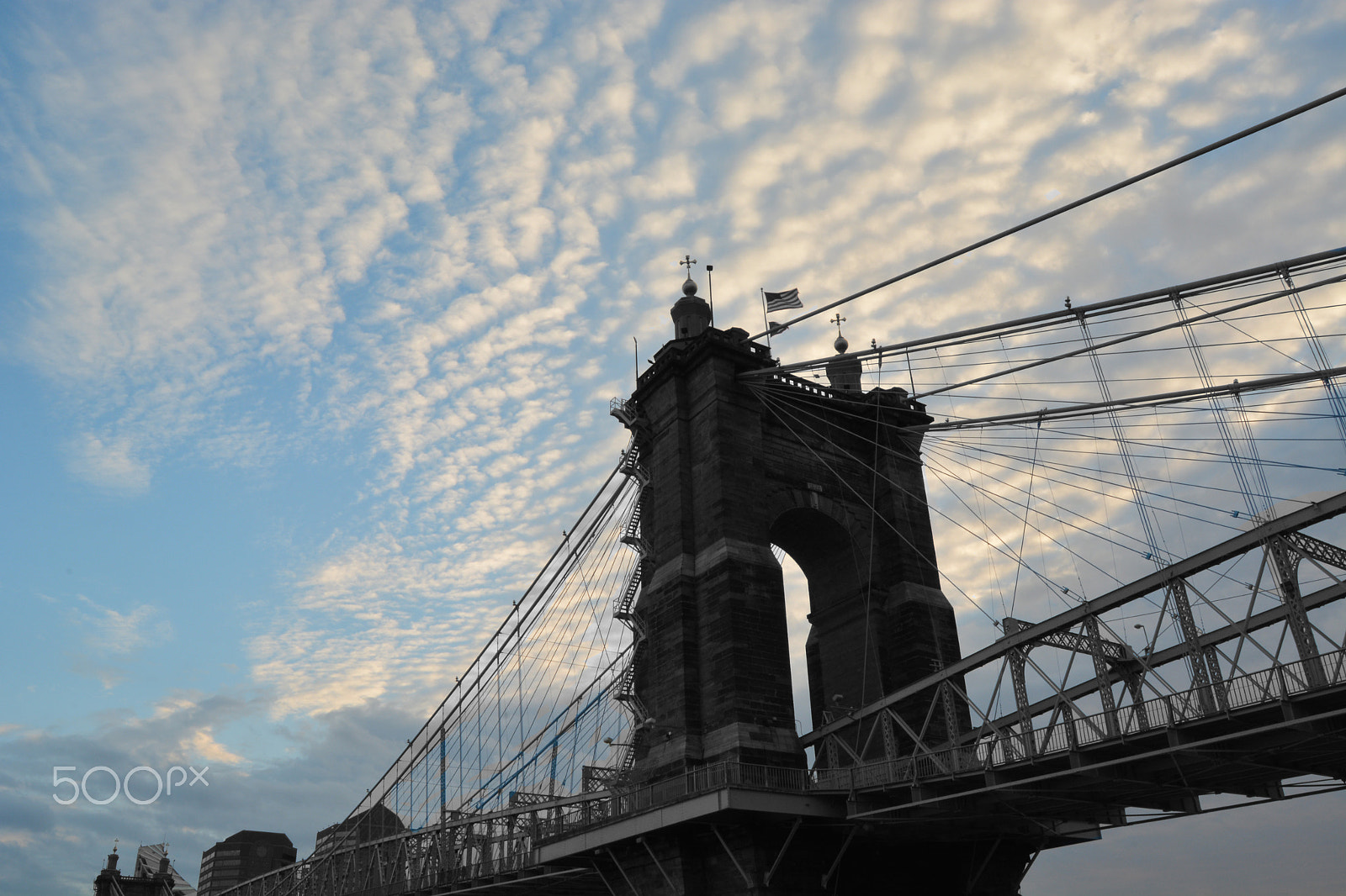 Nikon D7100 sample photo. Roebling bridge photography