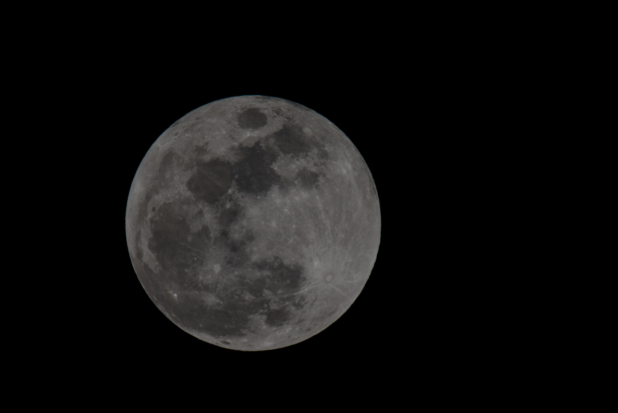 Sigma 150-600mm F5-6.3 DG OS HSM | S sample photo