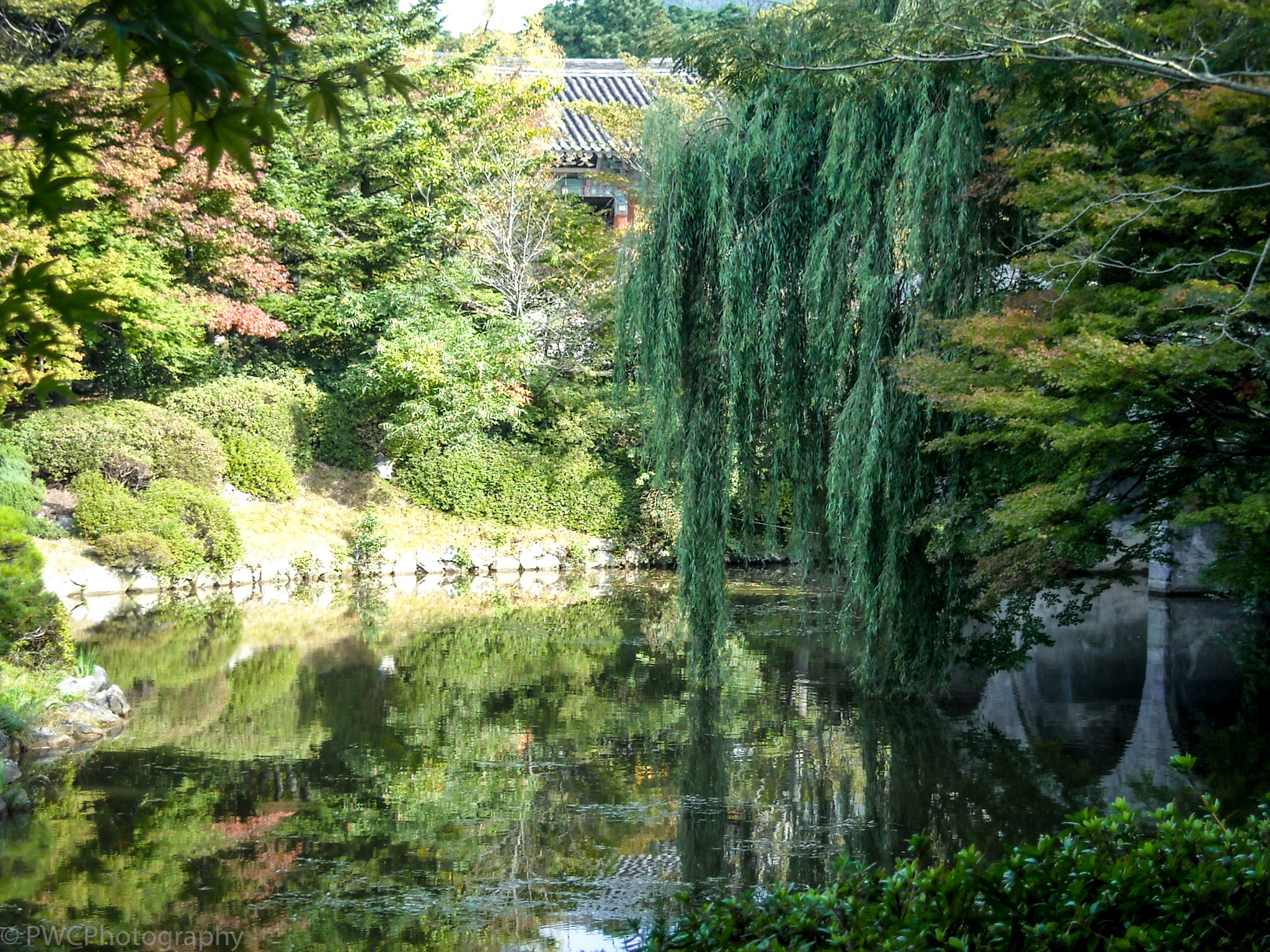 Nikon Coolpix L18 sample photo. South korean reflecting pond photography