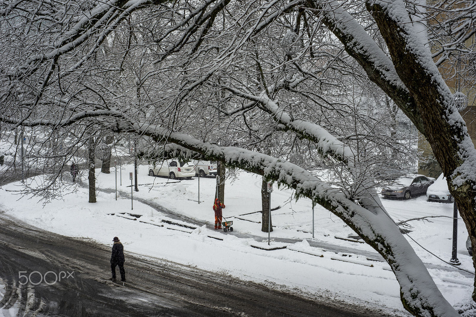 Nikon D600 + Nikon AF Nikkor 50mm F1.8D sample photo. Snow storm photography