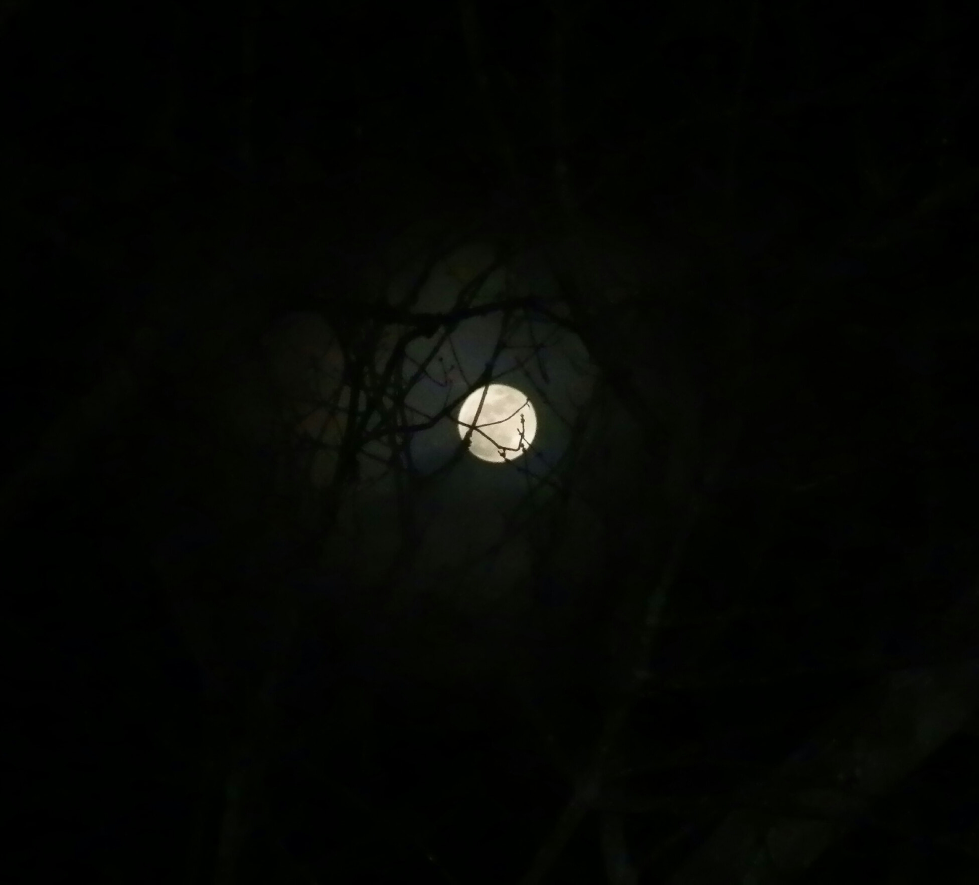 Olympus SP-610UZ sample photo. Tonight's full snow moon photography