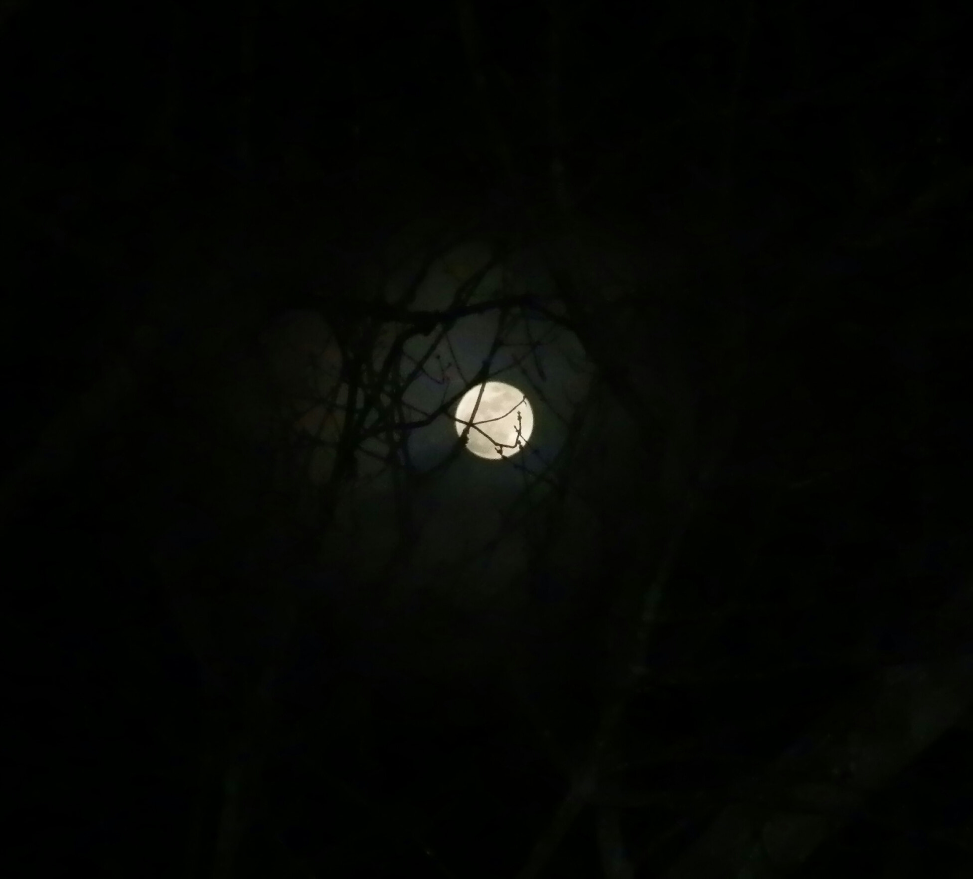 Olympus SP-610UZ sample photo. Tonight's full snow moon photography