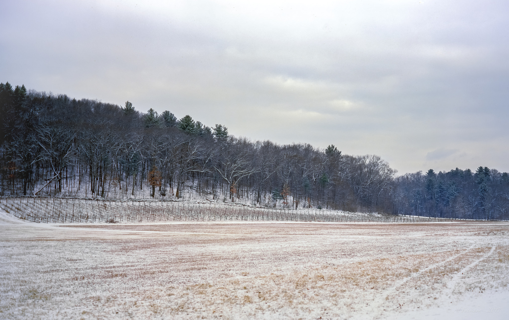 v2?sig=31c07fd3218c123128603b5c8fce5ae4b