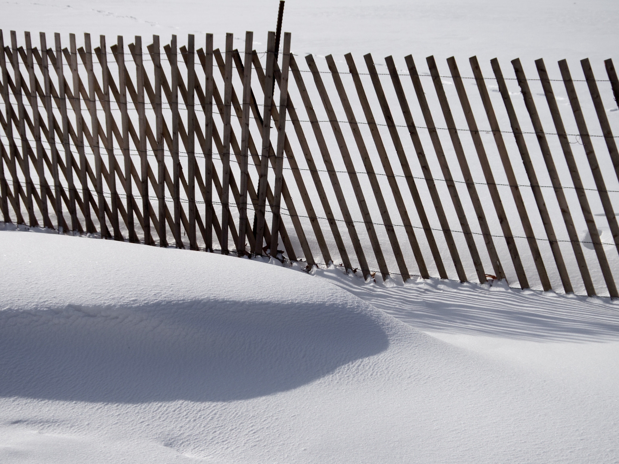 Pentax Q-S1 sample photo. Snow fence photography