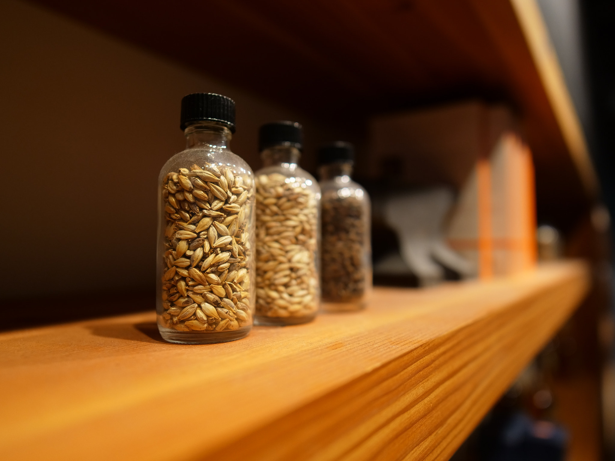 LEICA DG SUMMILUX 12/F1.4 sample photo. Barley photography